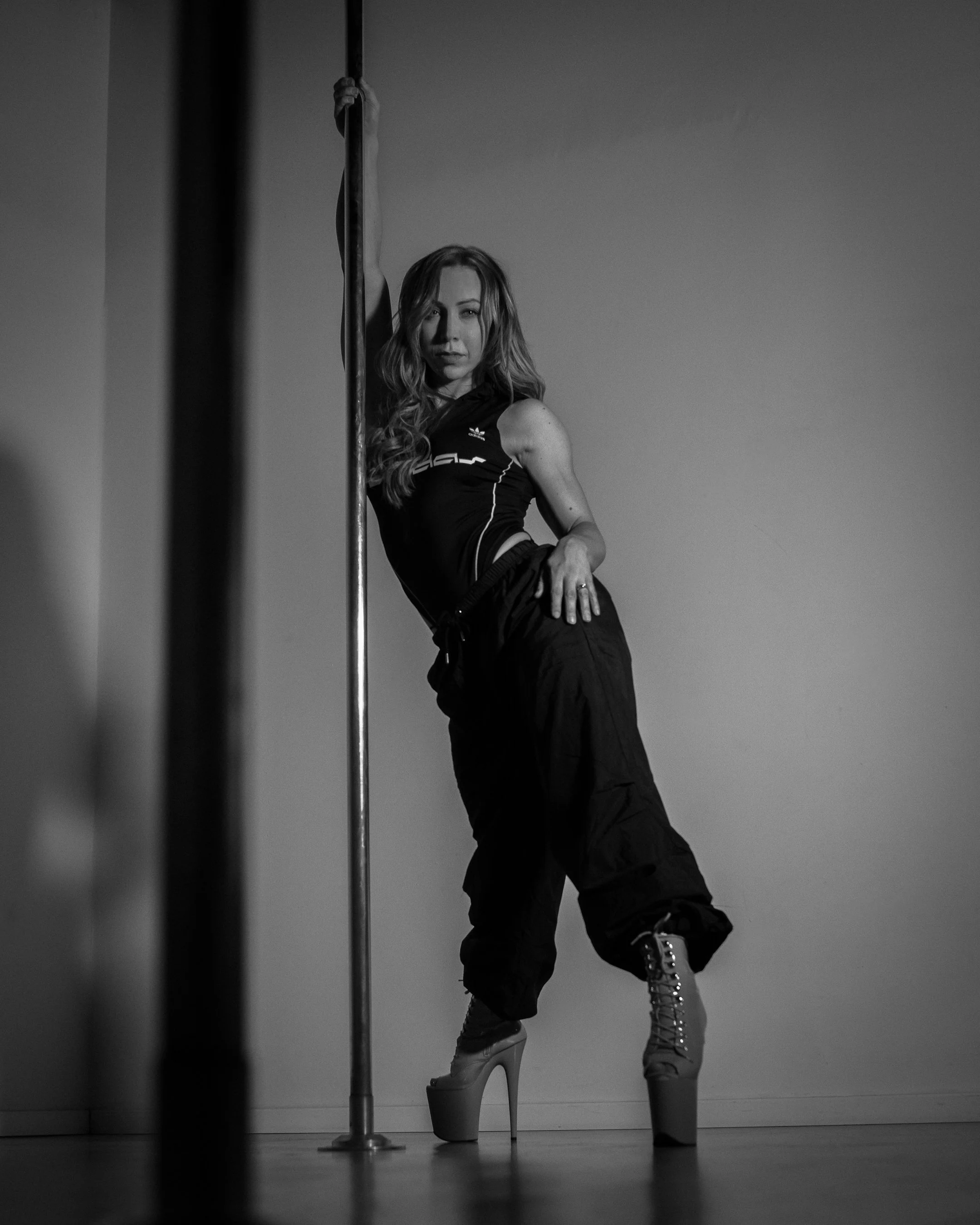 A Variety of Level and Specialty Pole Dance Classes in Perth — The Pole Studio co