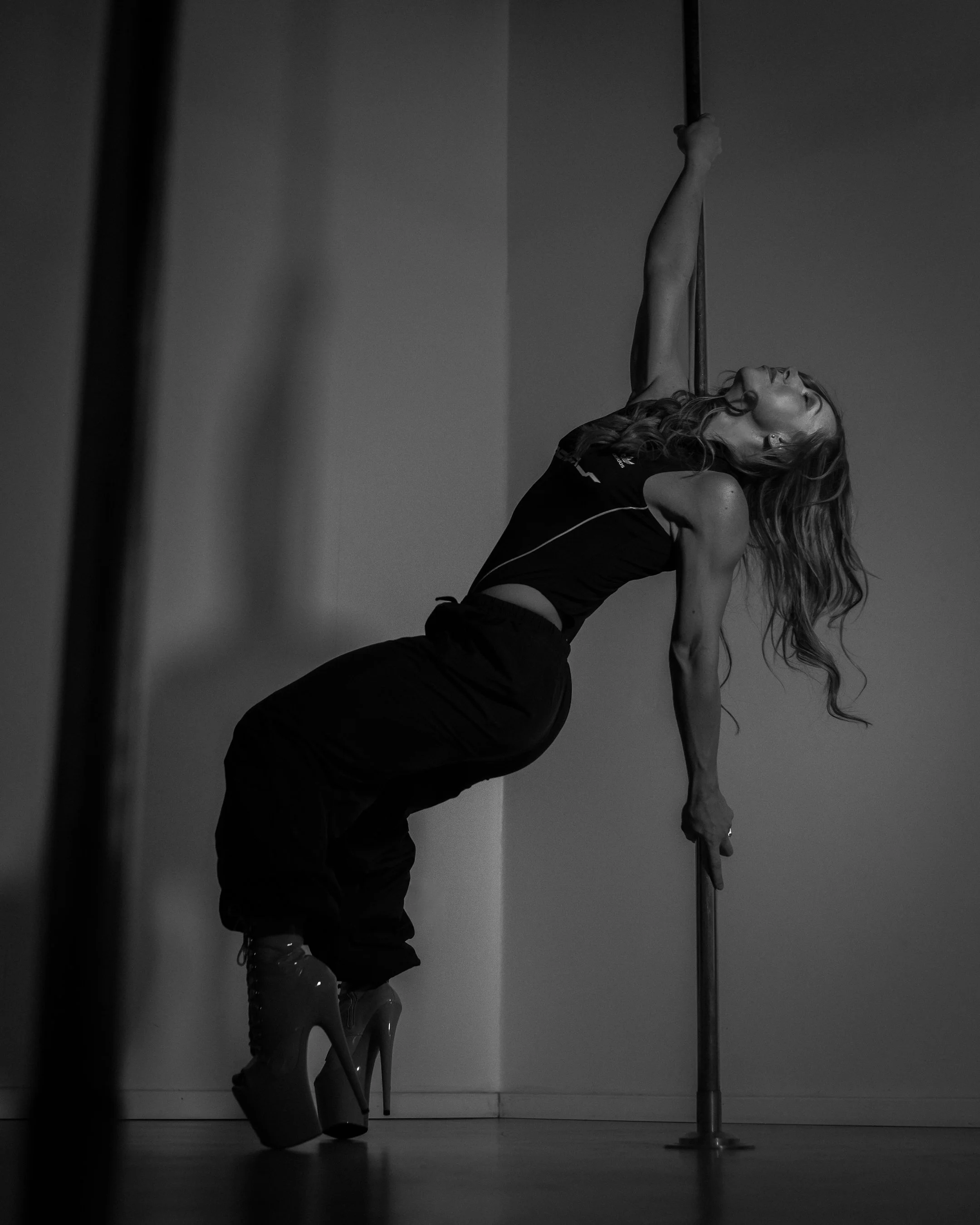 A Variety of Level and Specialty Pole Dance Classes in Perth — The Pole Studio co