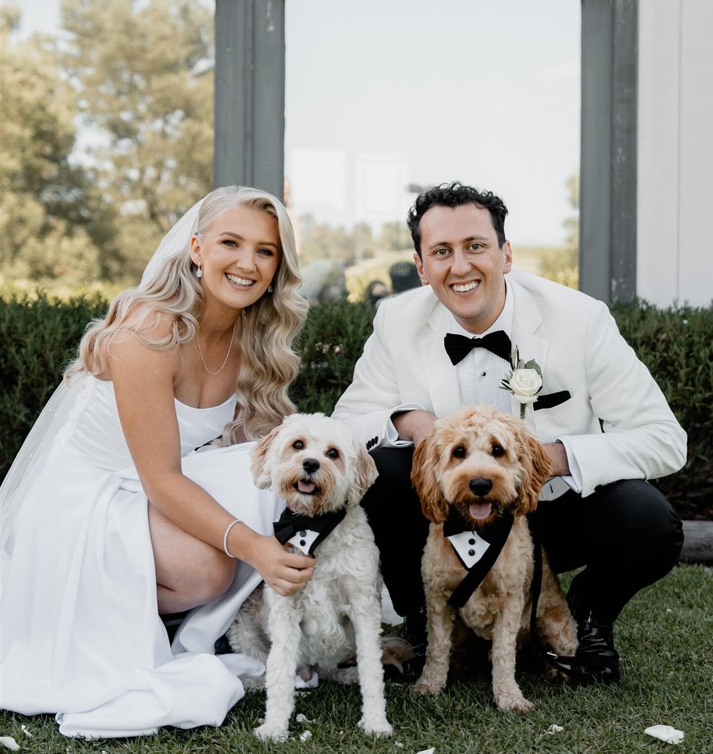 Thinking of having your dog at your wedding? 

Wondering how you can include them? Will there be over excited or anxious? How would it all work?

So many of my couples choose to have their dog at their wedding in some way or other - just like Tayla a