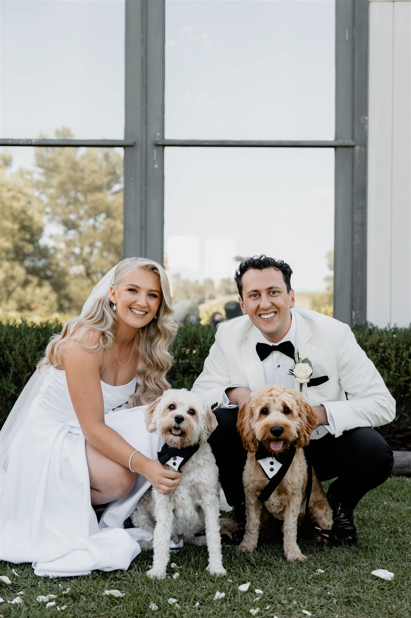Including Your Dog in Your Wedding Ceremony