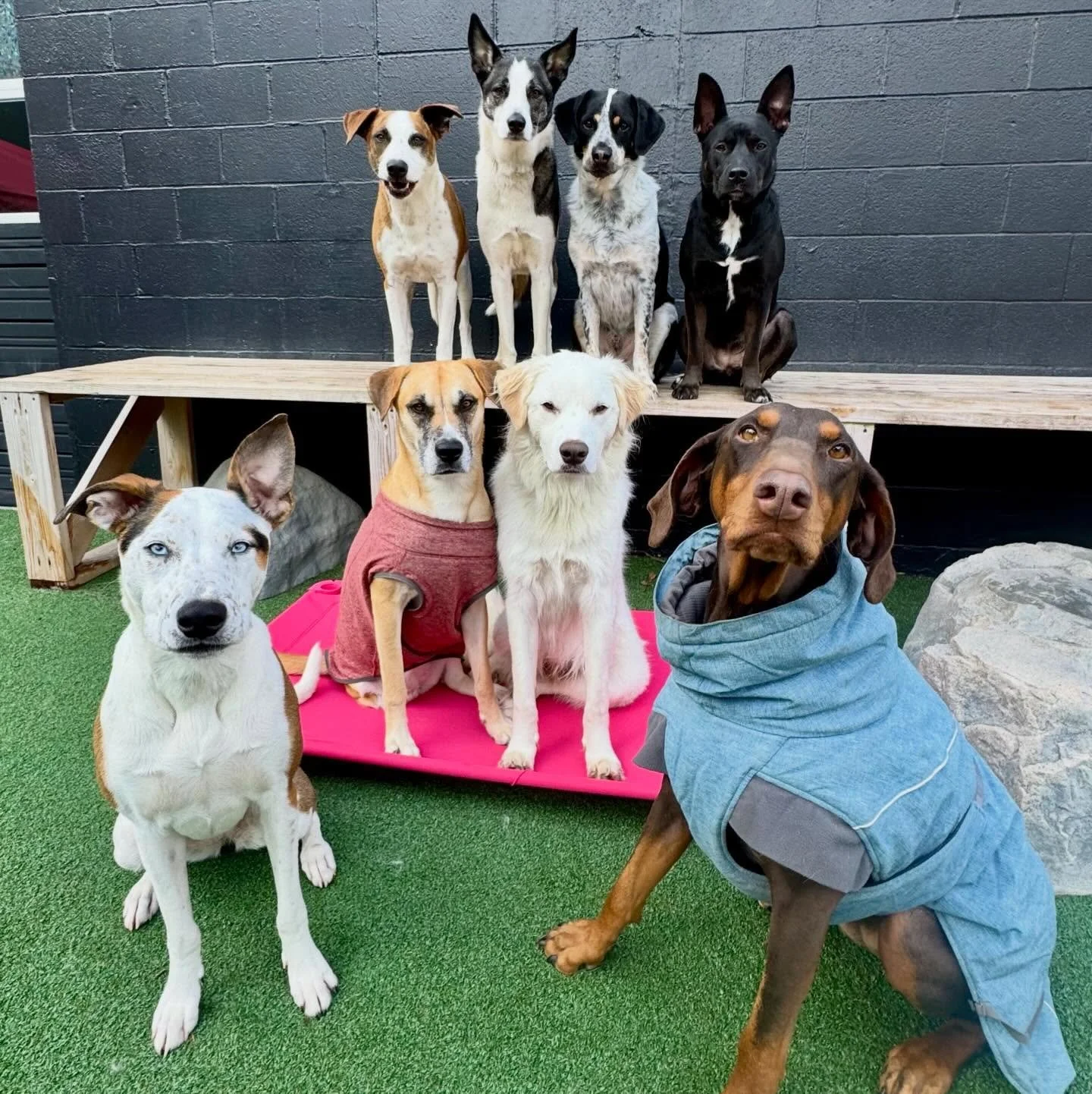 plenty of cuteness to go around with this crew 💕