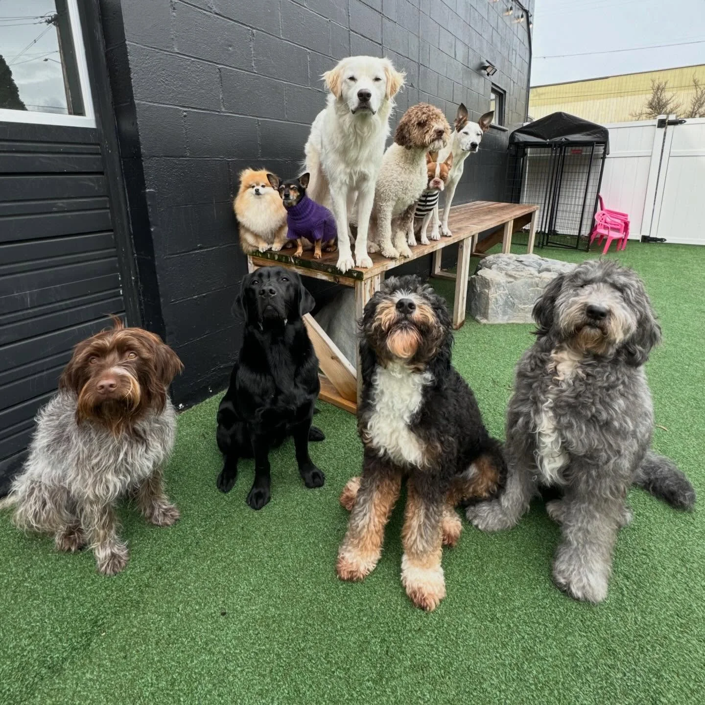 silly little sweeties 🍬🍭✨