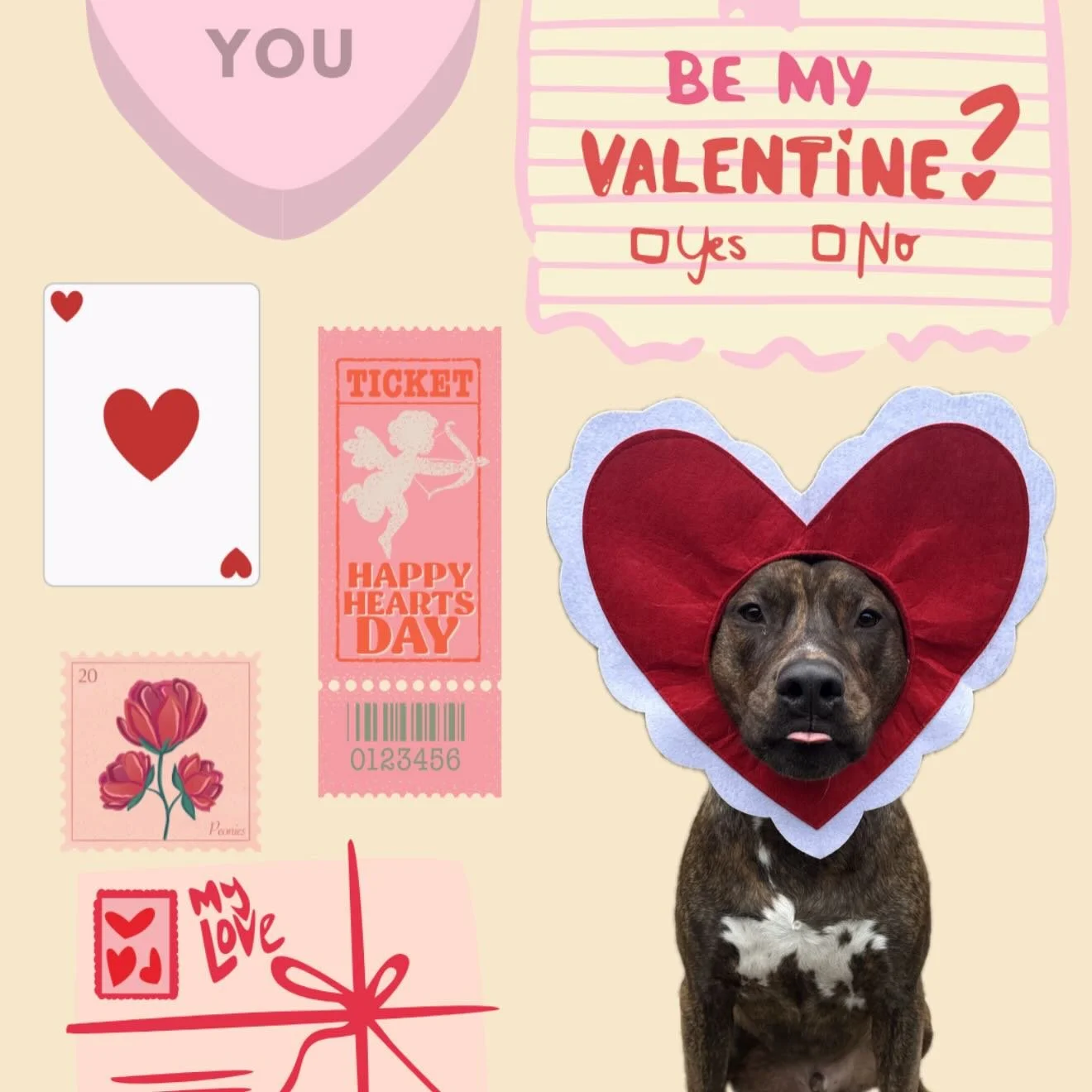 Monthly photo highlights ❤️&zwj;🔥💝💘💖💞