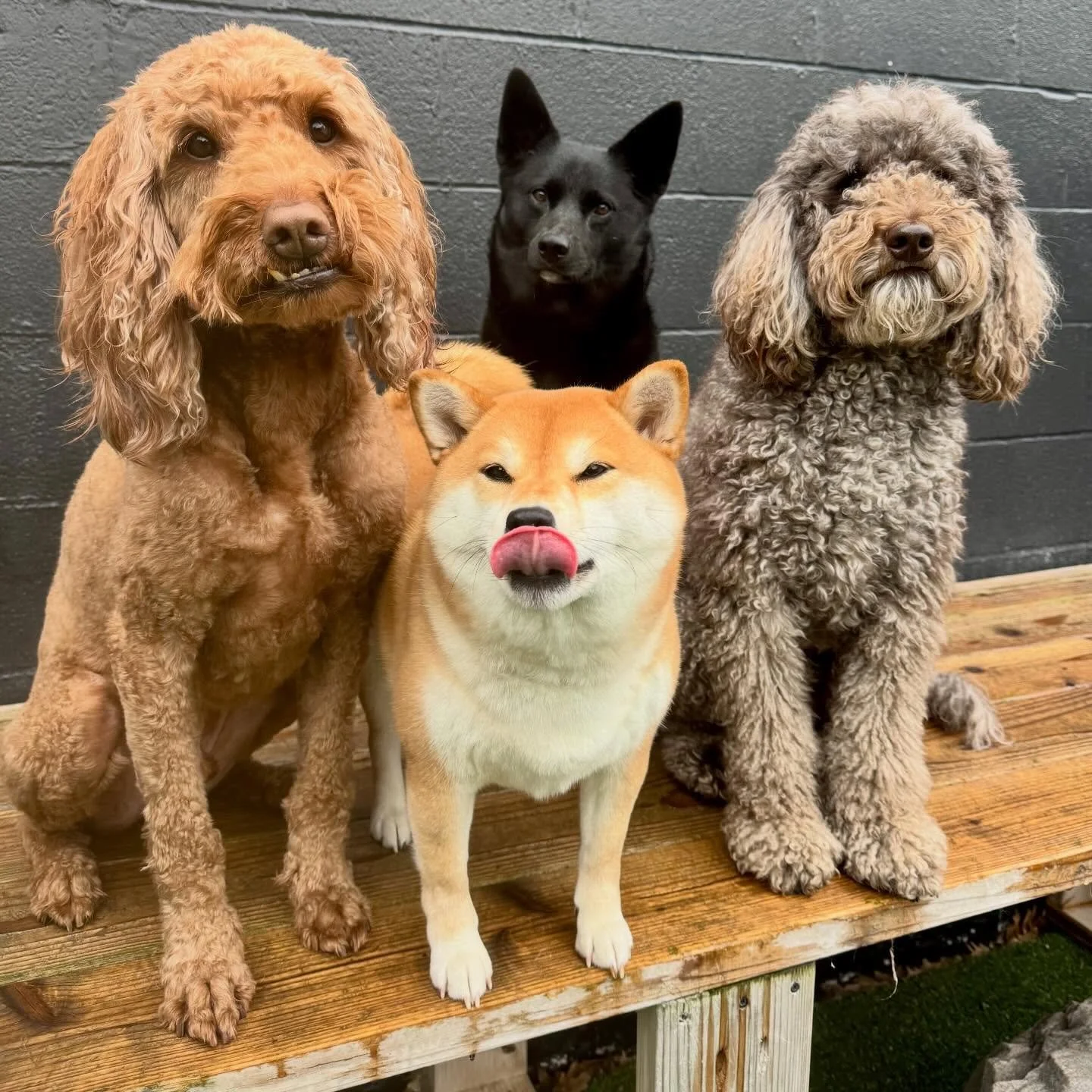 cuteness on full blast today 💥