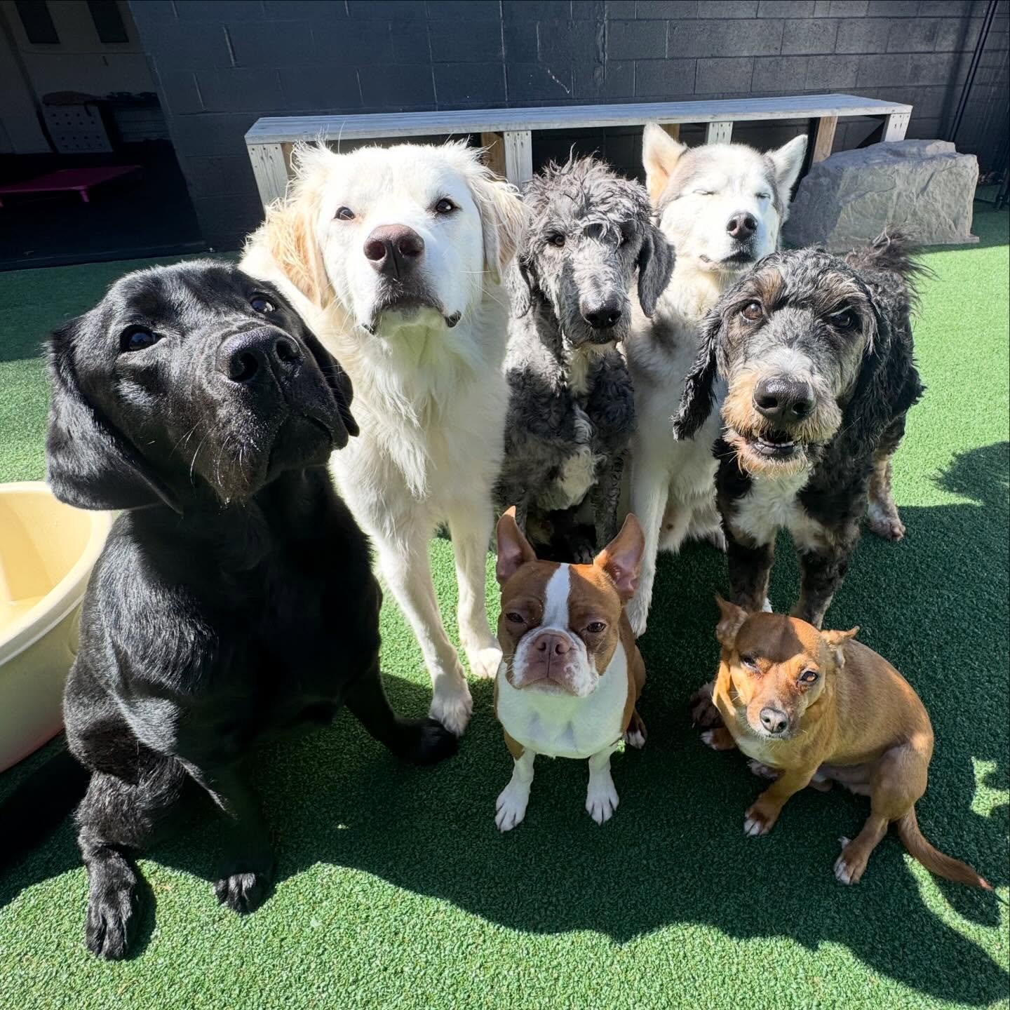 catching&rsquo; rays and catchin&rsquo; treats 😎