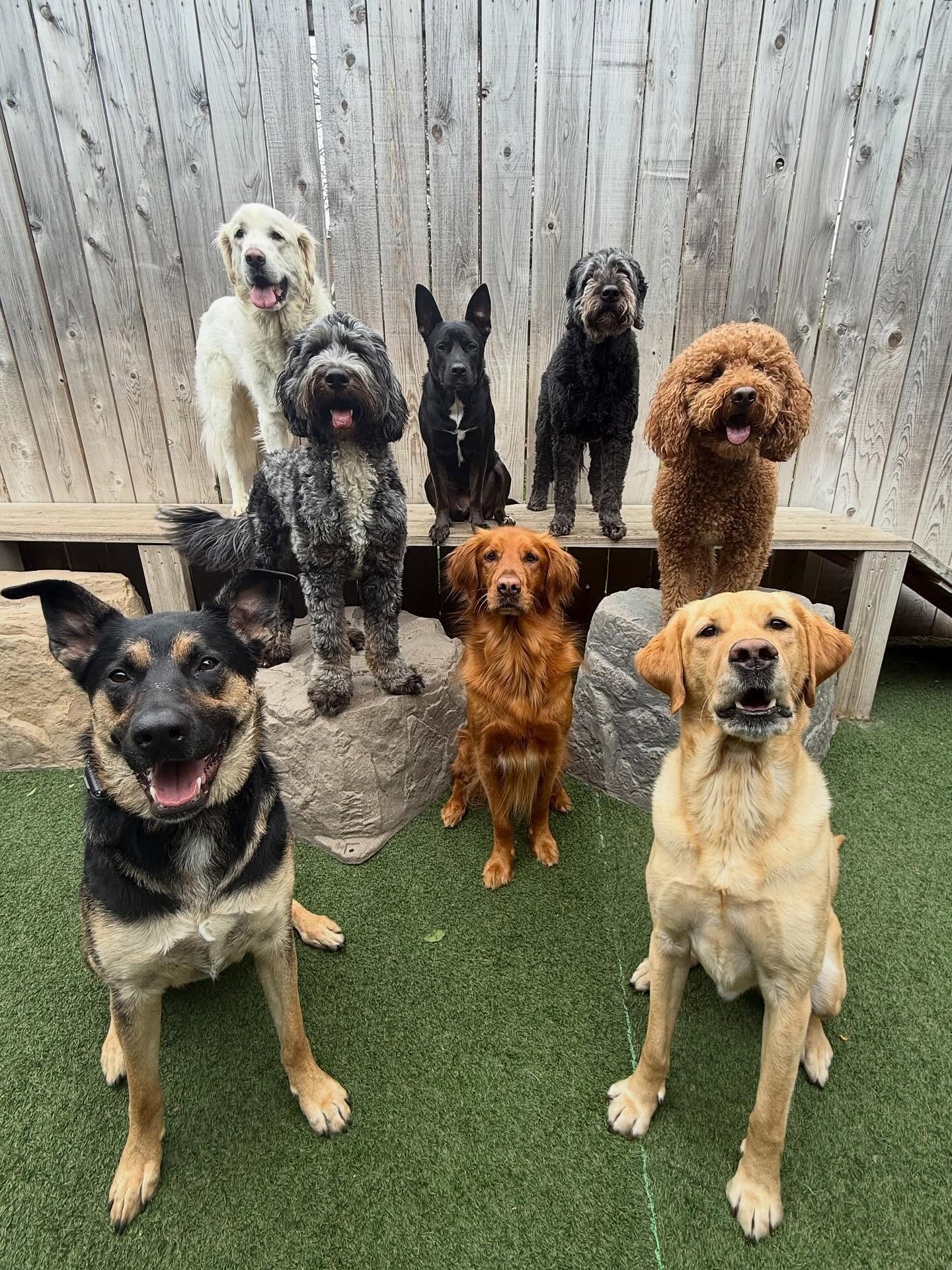 A recap of some of the fun had last week here at MP 🥳🤩🌈🌟

#mpalberta #motherpupper #pdx