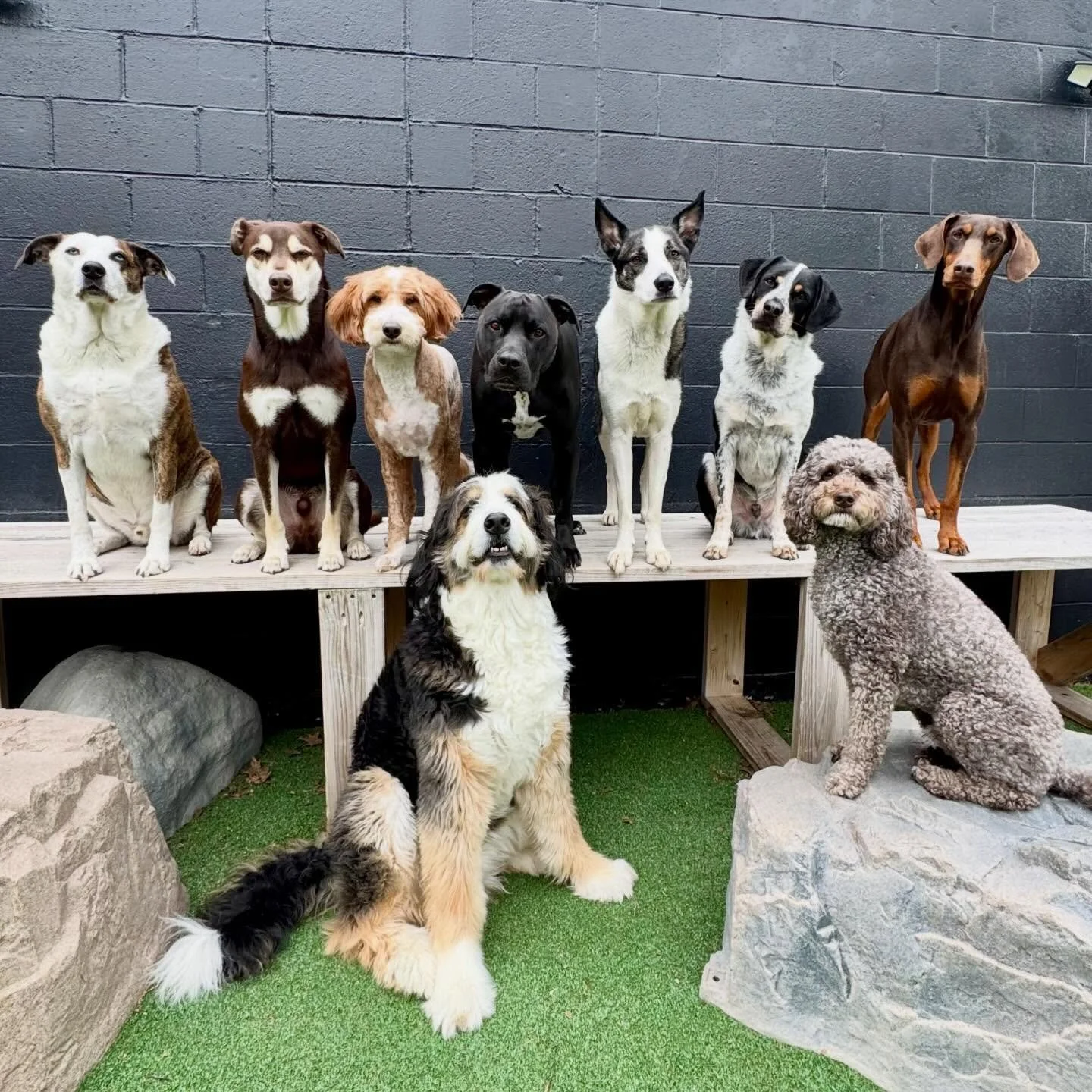 a collection of cuties ✨🌷