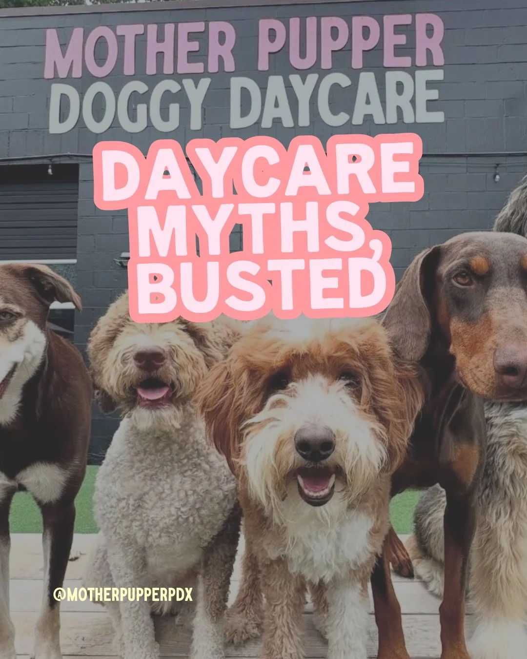 Daycare myths ✨ Busted!