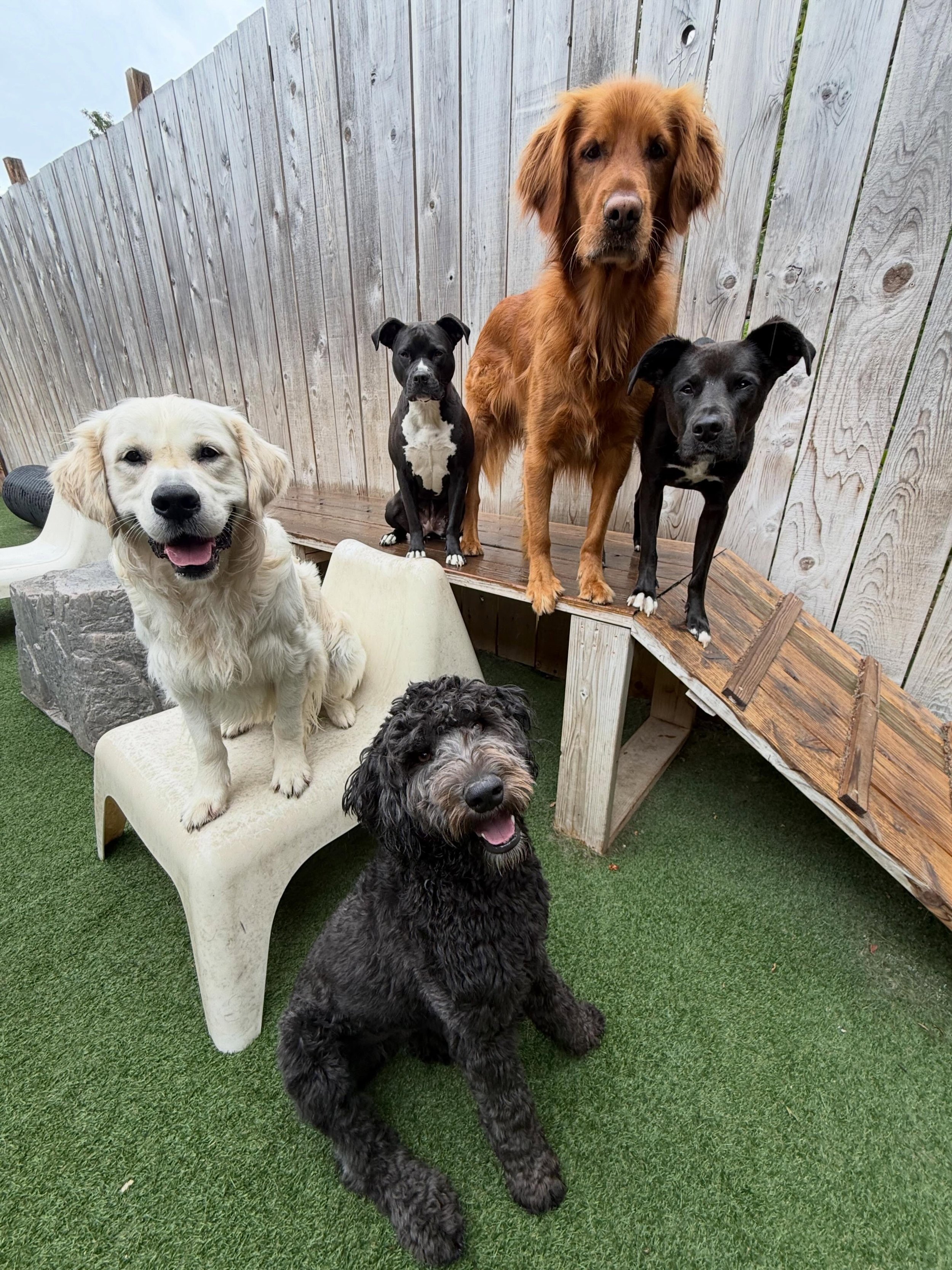 Monday blues? More like Monday woohoo&rsquo;s!!! ✨🥳🪩

#mpalberta #motherpupper #pdx