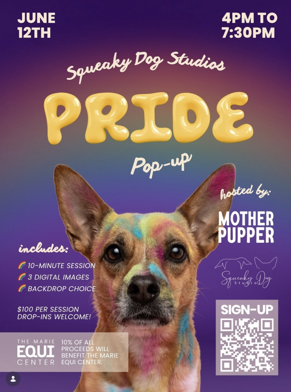 Squeaky Dog Studios Pride Photo Pop Up