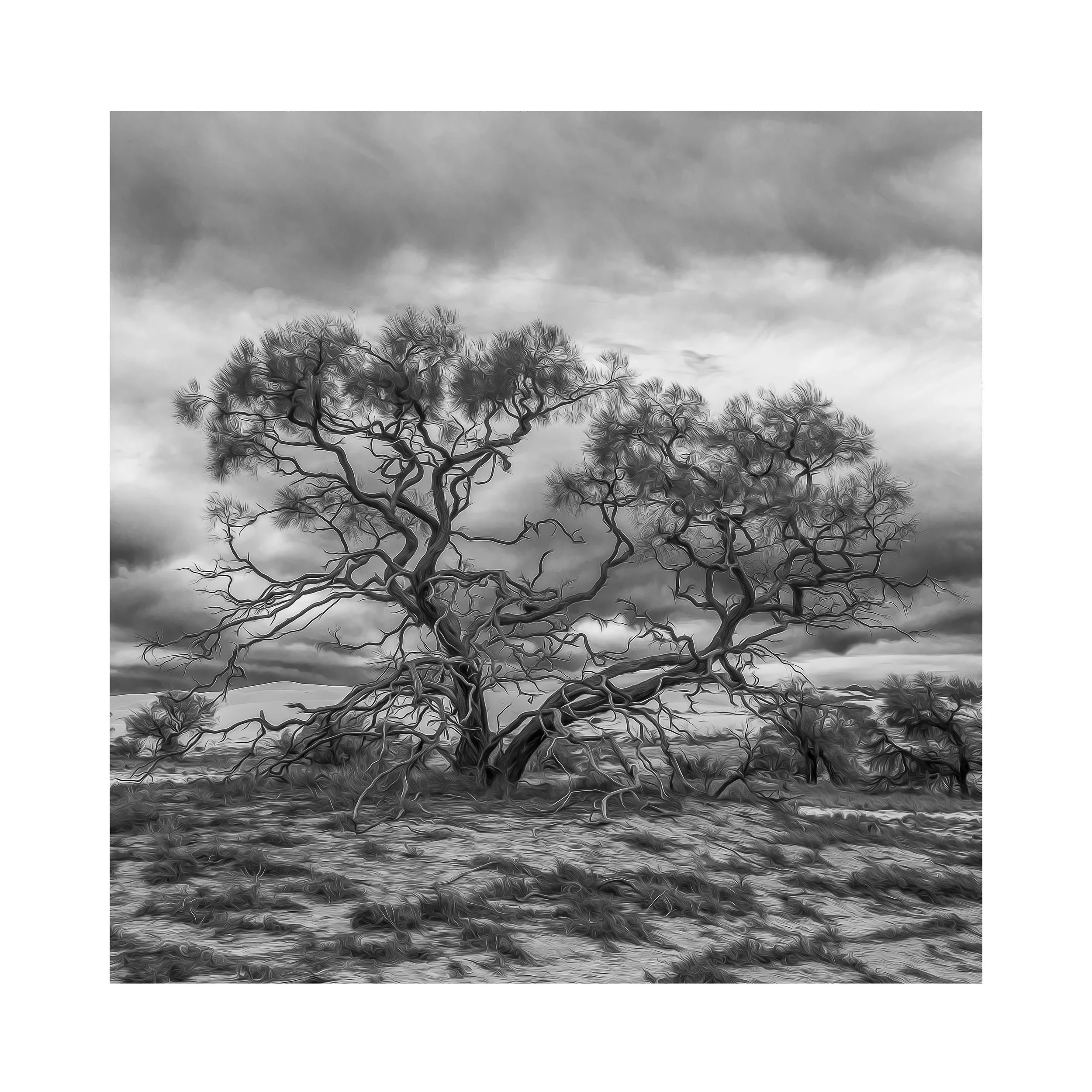 #8230_30x30 Sq-30mm Border_Untitled.jpg