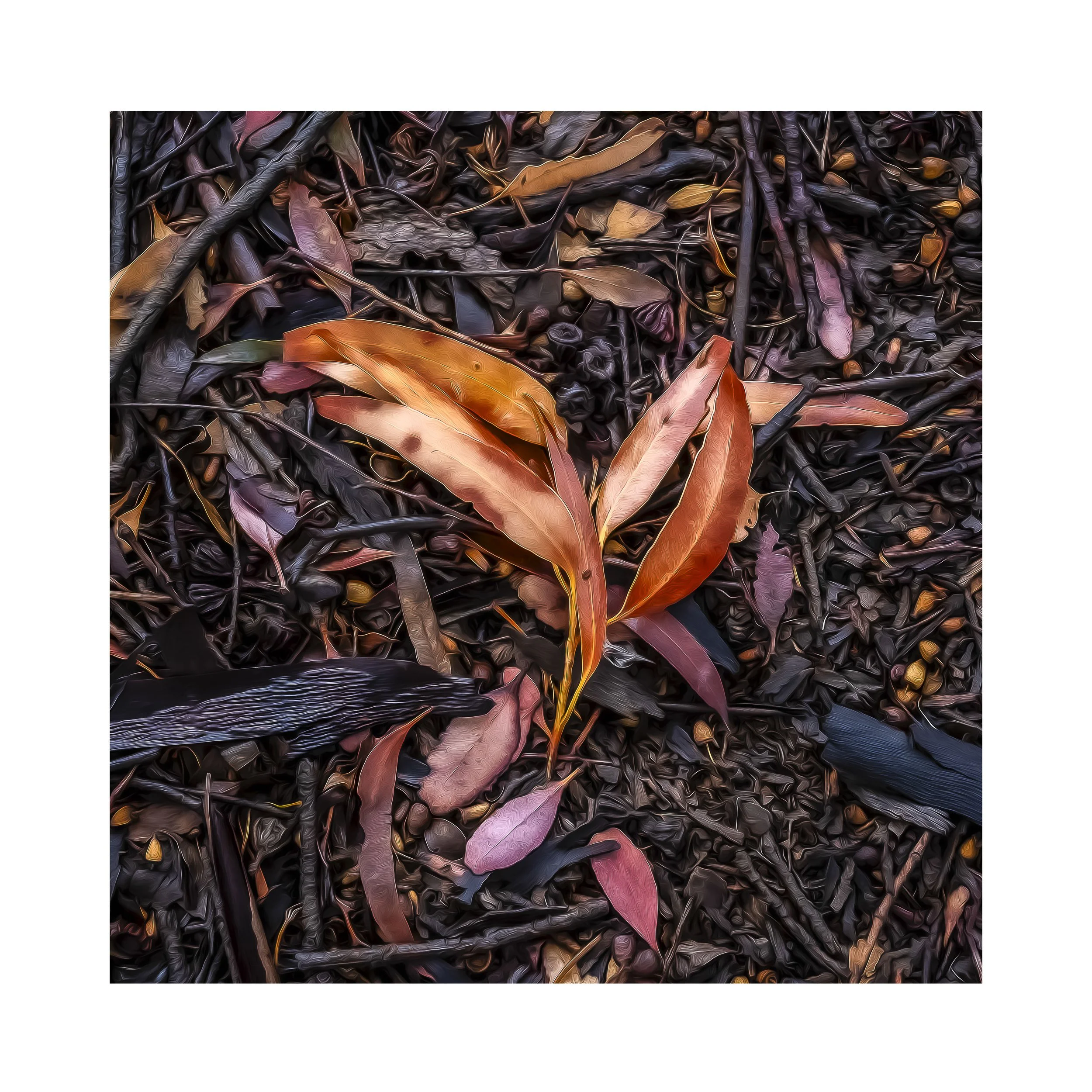 #3986_30x30 Sq-30mm Border_Leaves after Rain.jpg