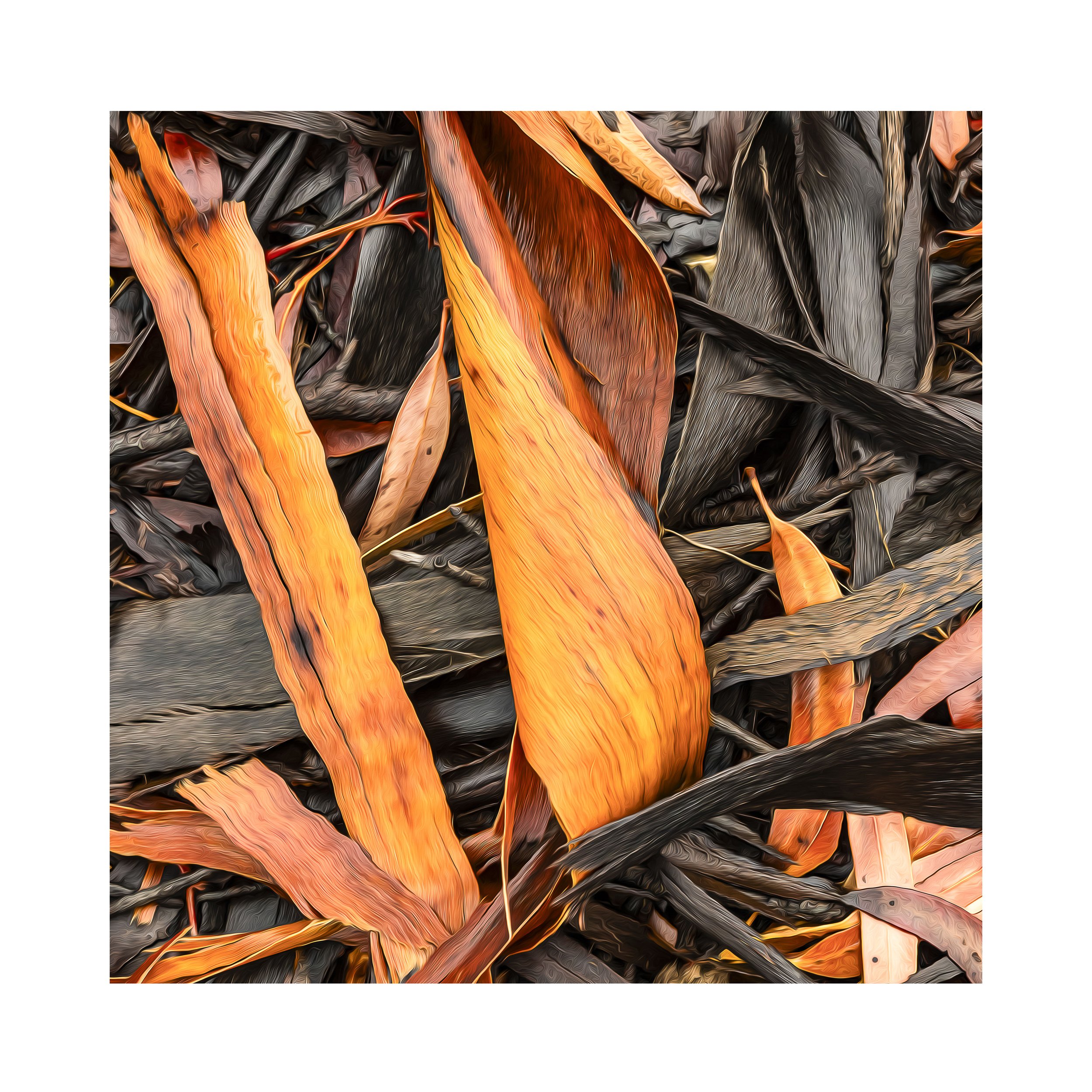 #3975_30x30 Sq-30mm Border_Bark After Rain.jpg