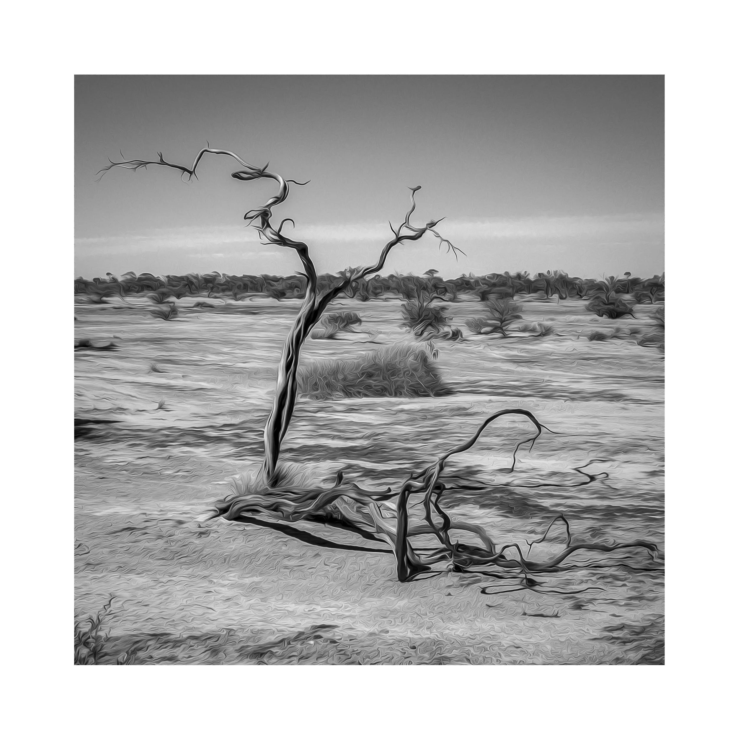 #0478_30x30 Sq_Untitled.jpg