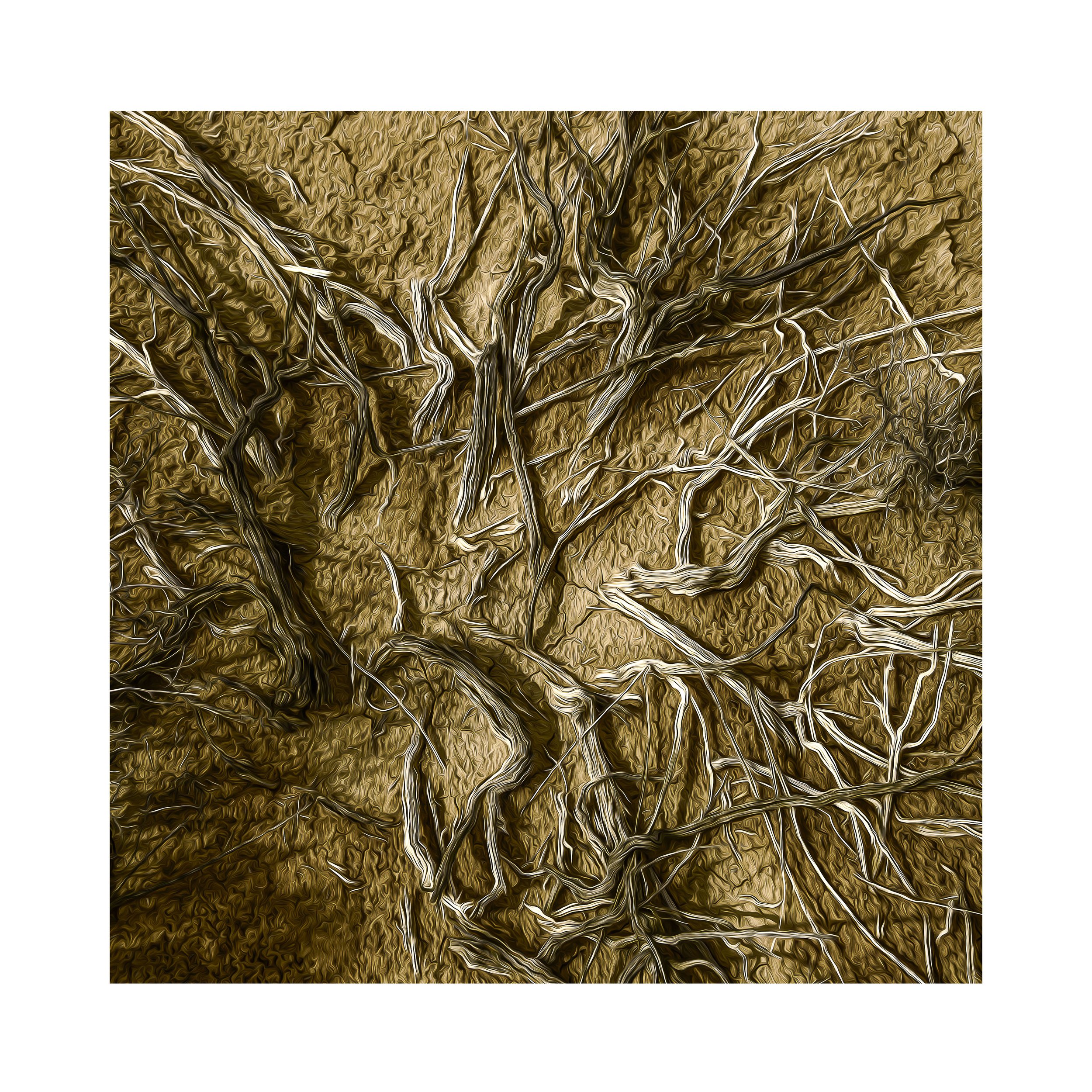 30x30 Sq-30mm Border-Untitled_7813.jpg