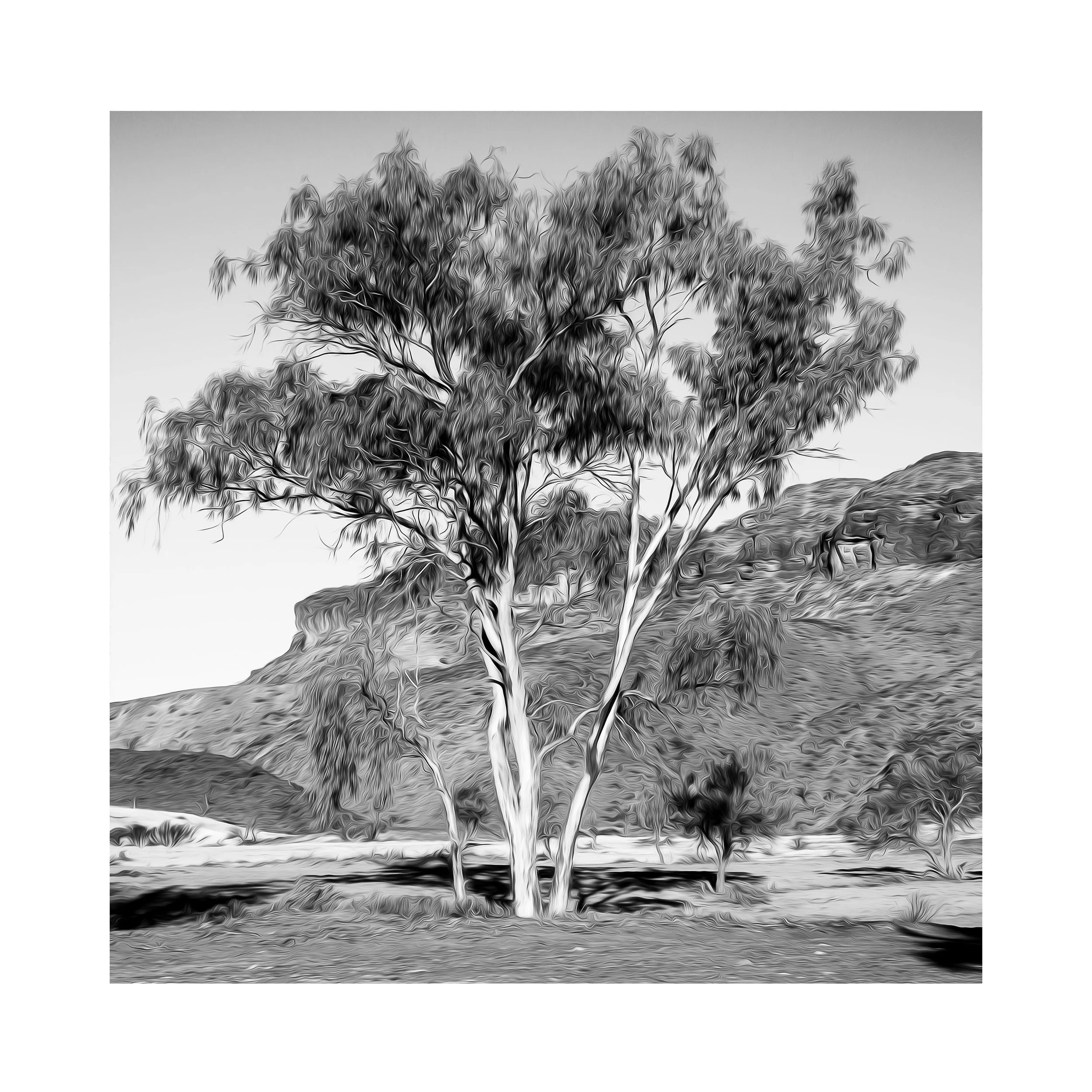 Untitled-7324.jpg