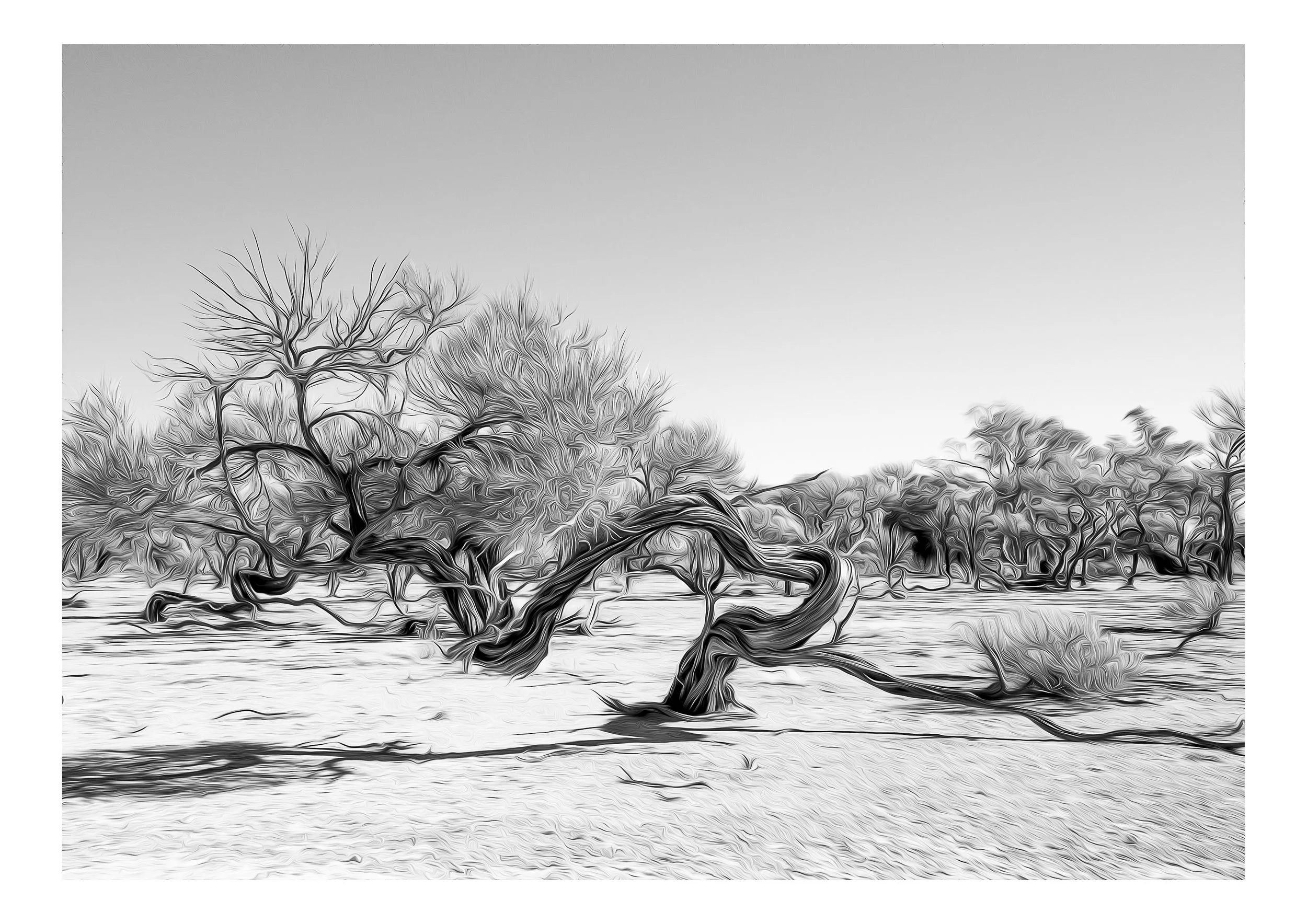 A3-Print-Tortured Existence-1320-2.jpg