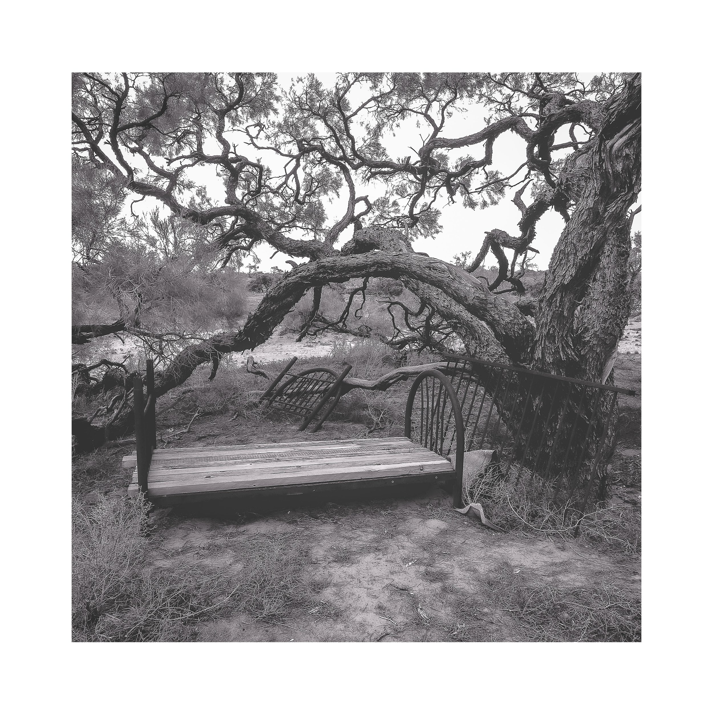 #8234_30x30 Sq-30mm Border_Untitled.jpg