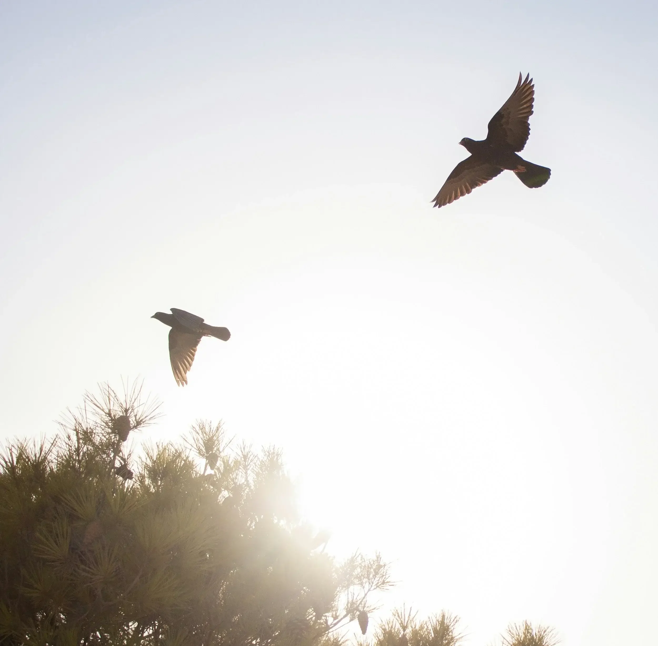 Your relationship doesn't end. How to communicate with your loved one in spirit.
