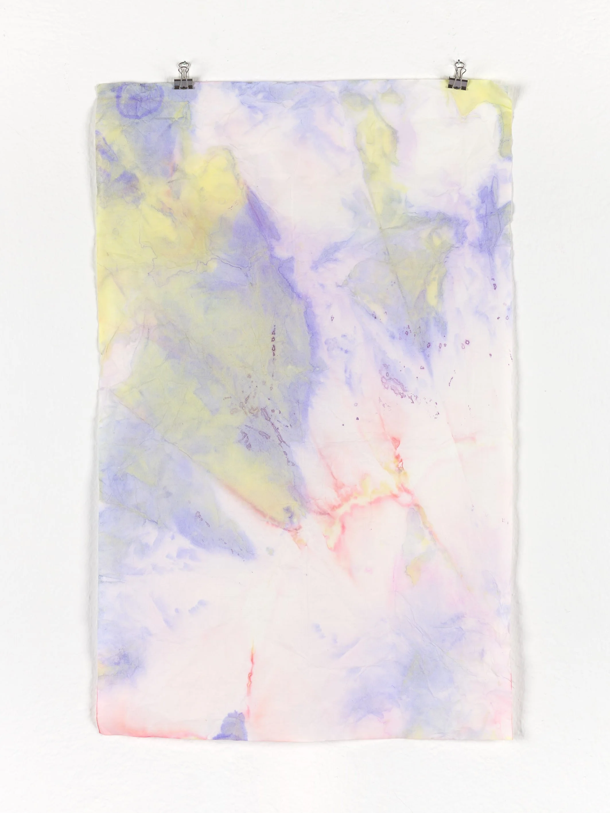 6 White Horses for You and Anyone Else I Might Have Promised Them To, 2022, by Marie Birkedal, watercolor on prepared rice paper in pale pink, violet and yellow.