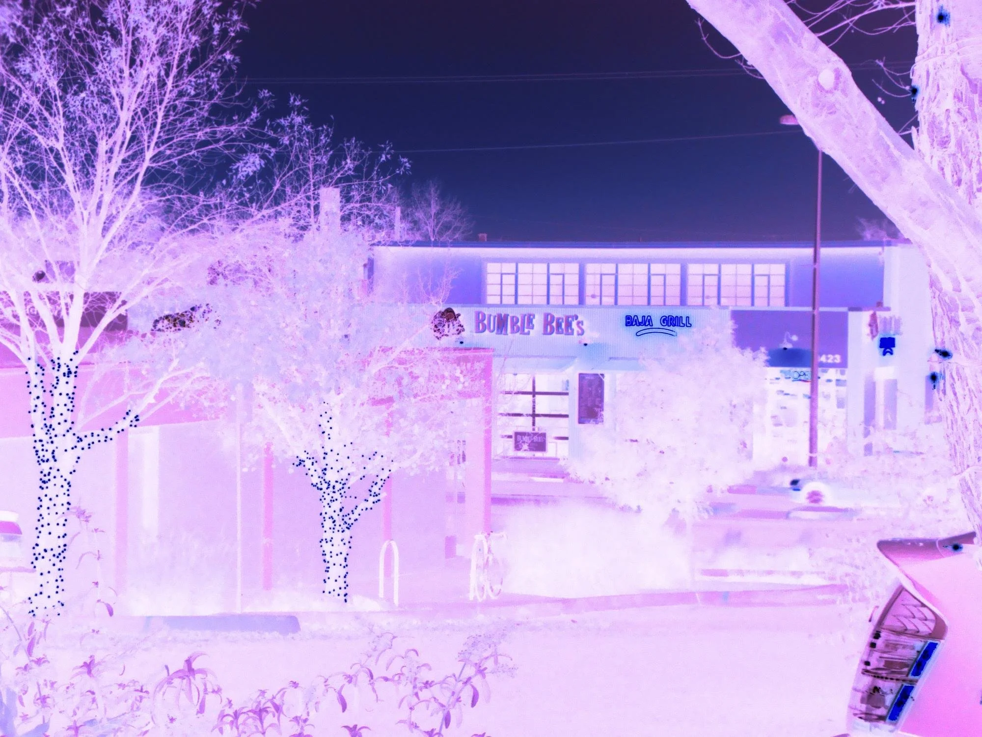 Marie Birkedal, photographic print made from a photograph taken in New Mexico, 2009, showing a roadside building and trees rendered in inverted purple tones.