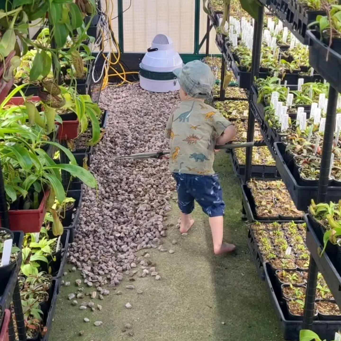 We are small family business in every meaning of the phrase 🤣

Our kids say we send plants out to all our friends, and I think there is a lot of truth to that.

Thanks for everyone who supports us in our growing and figuring out what us even is!