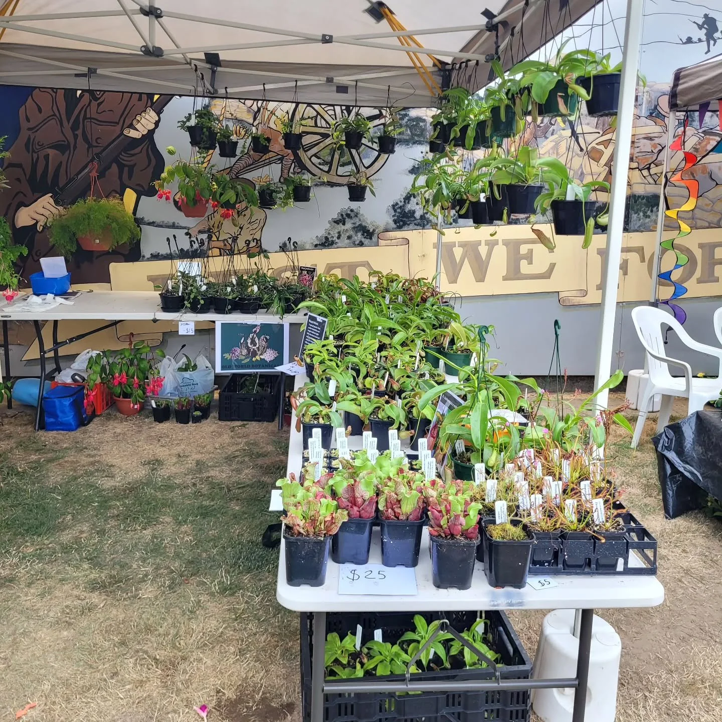 We are here! Little bit of midday rain, come through anyway for extra rainy day specials 😁

We are at 8 high Street, Evendale.

@launcestonhorticulturalsociety