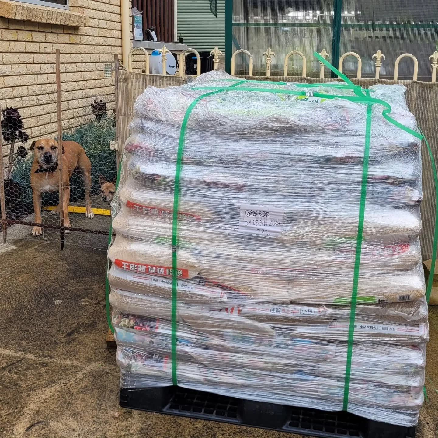 Our pallet of mineral mix for testing 🤣 It's hard to get things in small quantities in Tas. So far we are having good results with it, not better than coco but different qualities that are good to play around with.

We were going to bag some out if 
