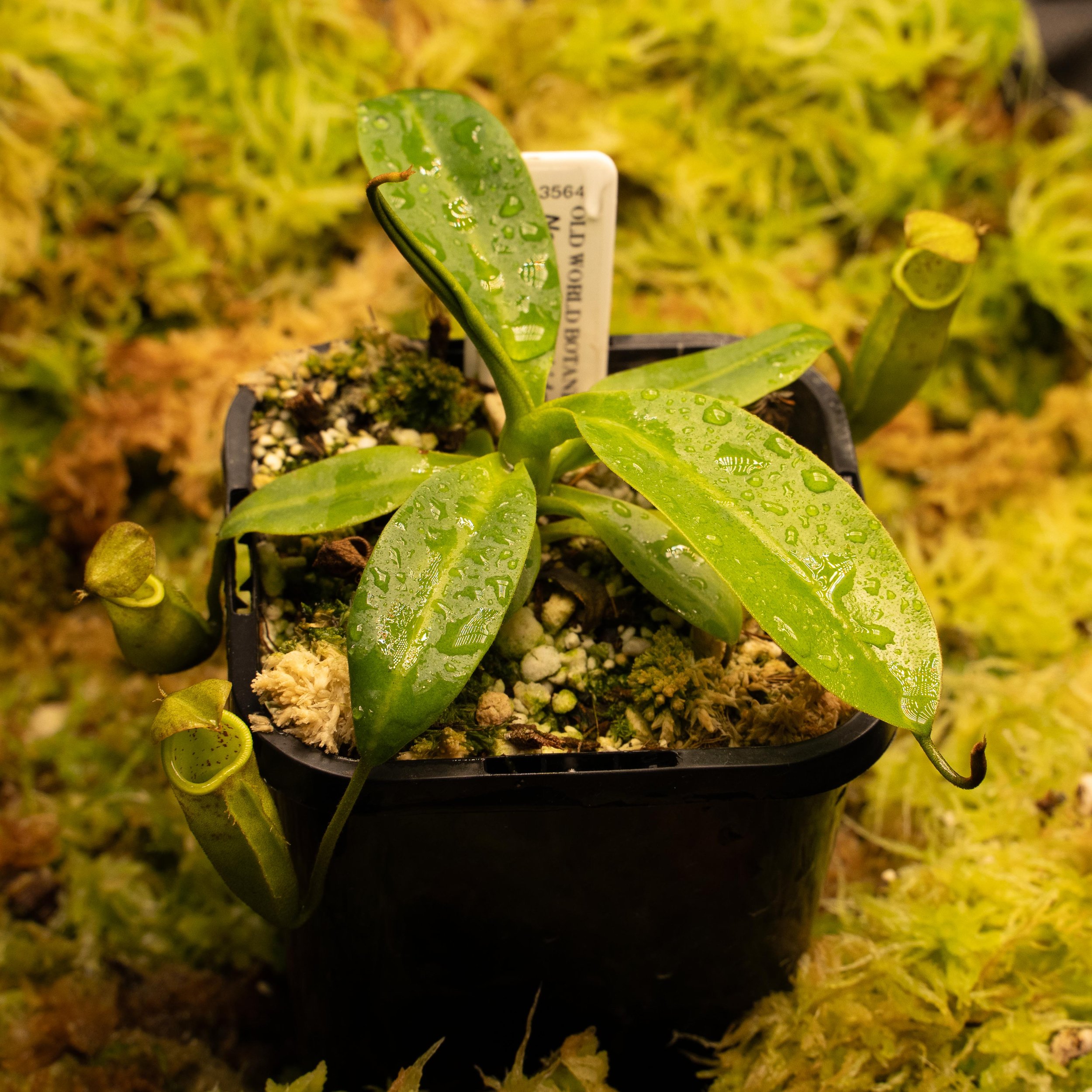 BE-3564 burb camp-02157.jpg