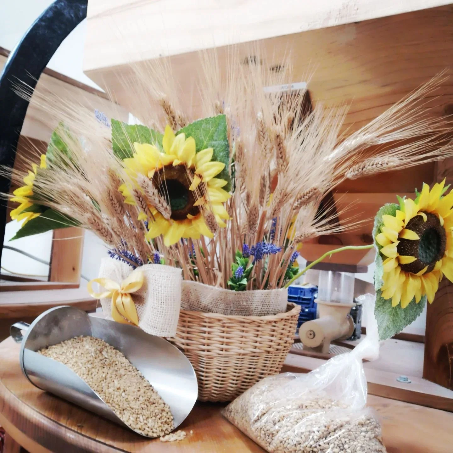 Santa Lucia si avvicina e noi siamo pronti! ✨ Quest'anno potrete trovare al nostro mulino il grano per la vostra cuccìa, selezionato con cura per un risultato davvero speciale.  Prenotate subito il vostro! 🌾
Potete contattarci sui nostri soc