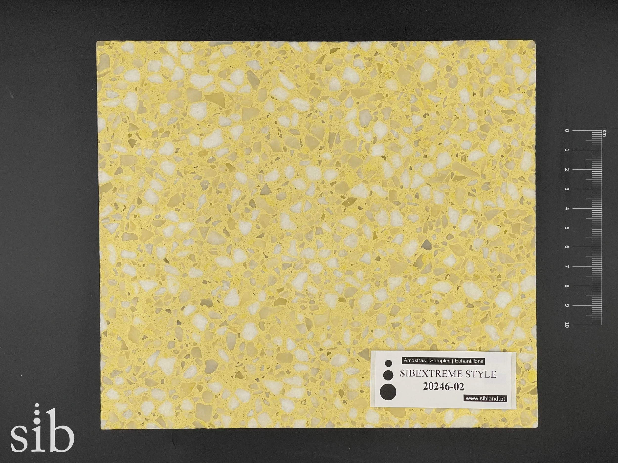 SIBEXTREME STYLE 20246-02.jpg