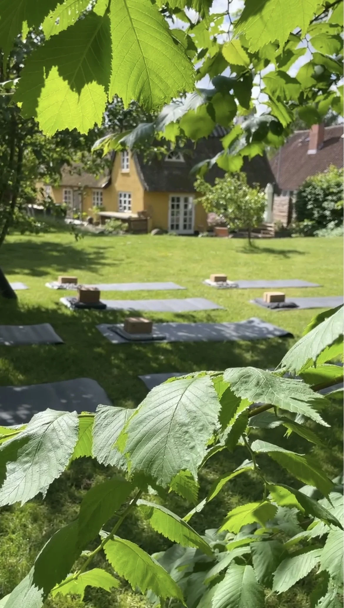 Vis seneste fotos.jpg