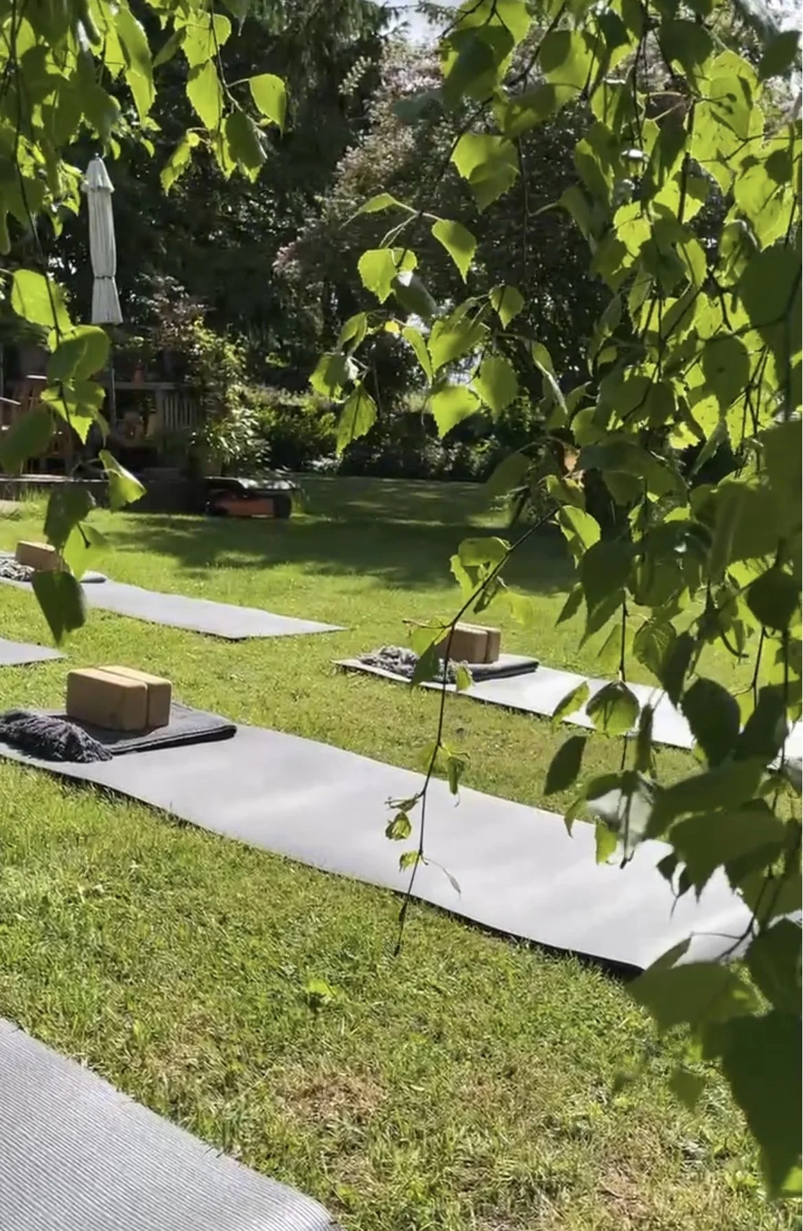 Vis seneste fotffos.jpg