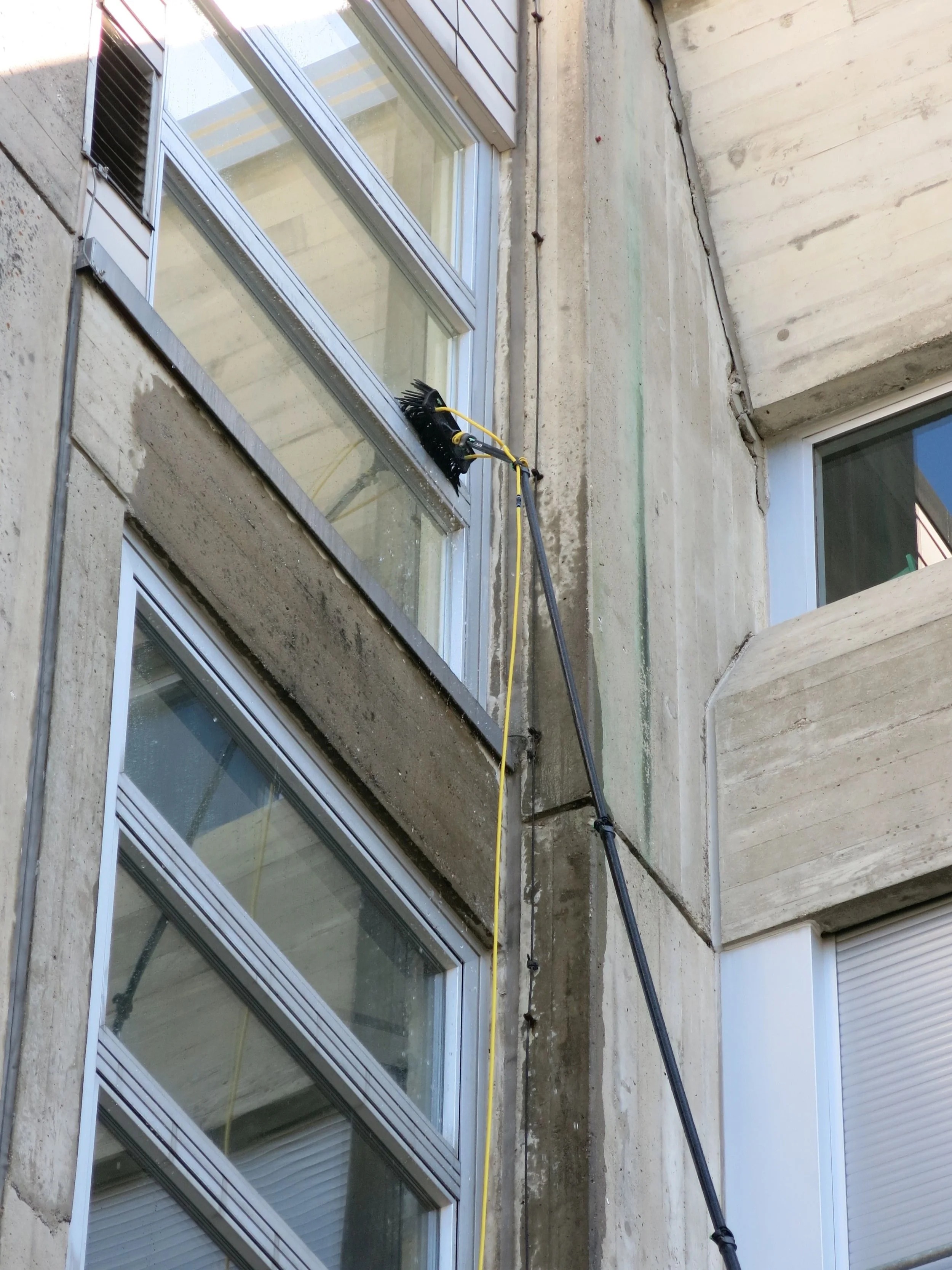 Osmose 15.jpg