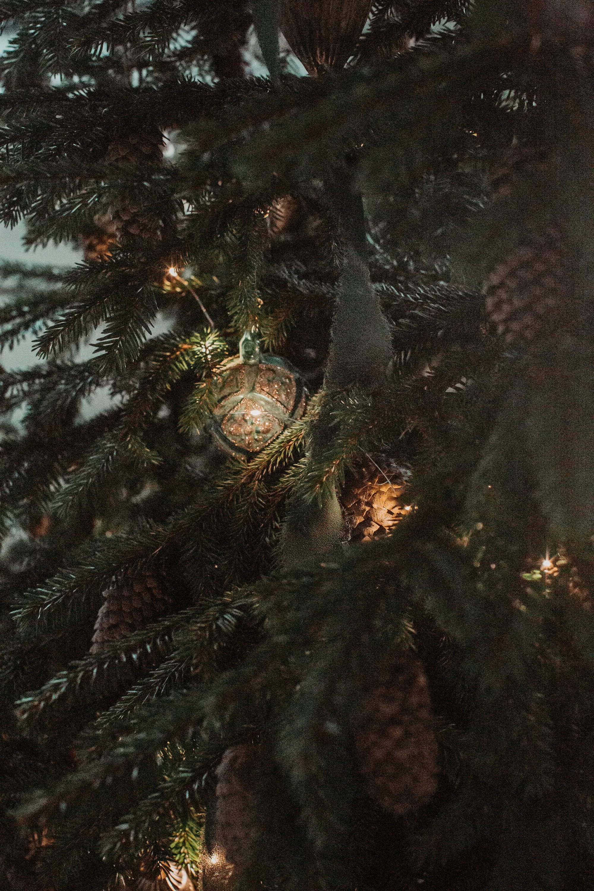 Green ribbon falling in between the branches