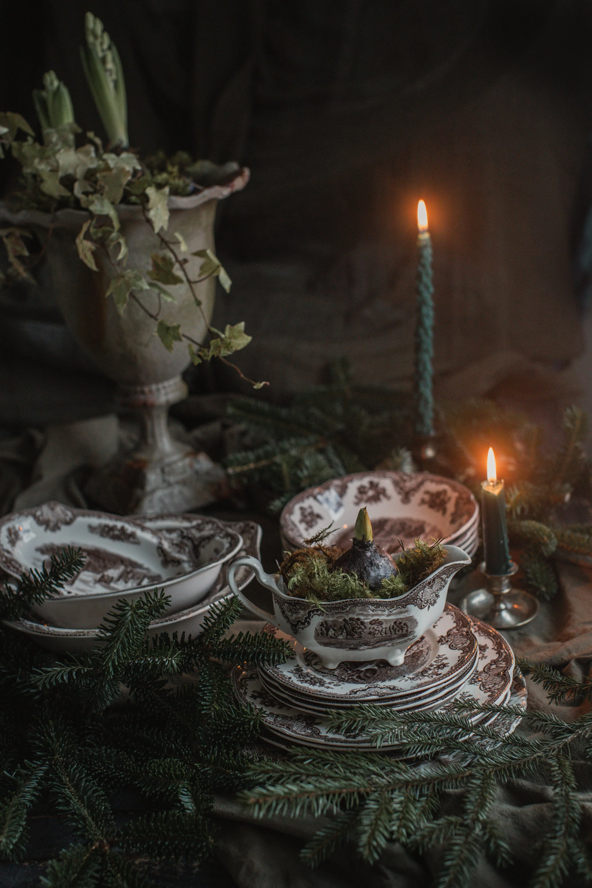 hyacinth and moss in vintage tableware