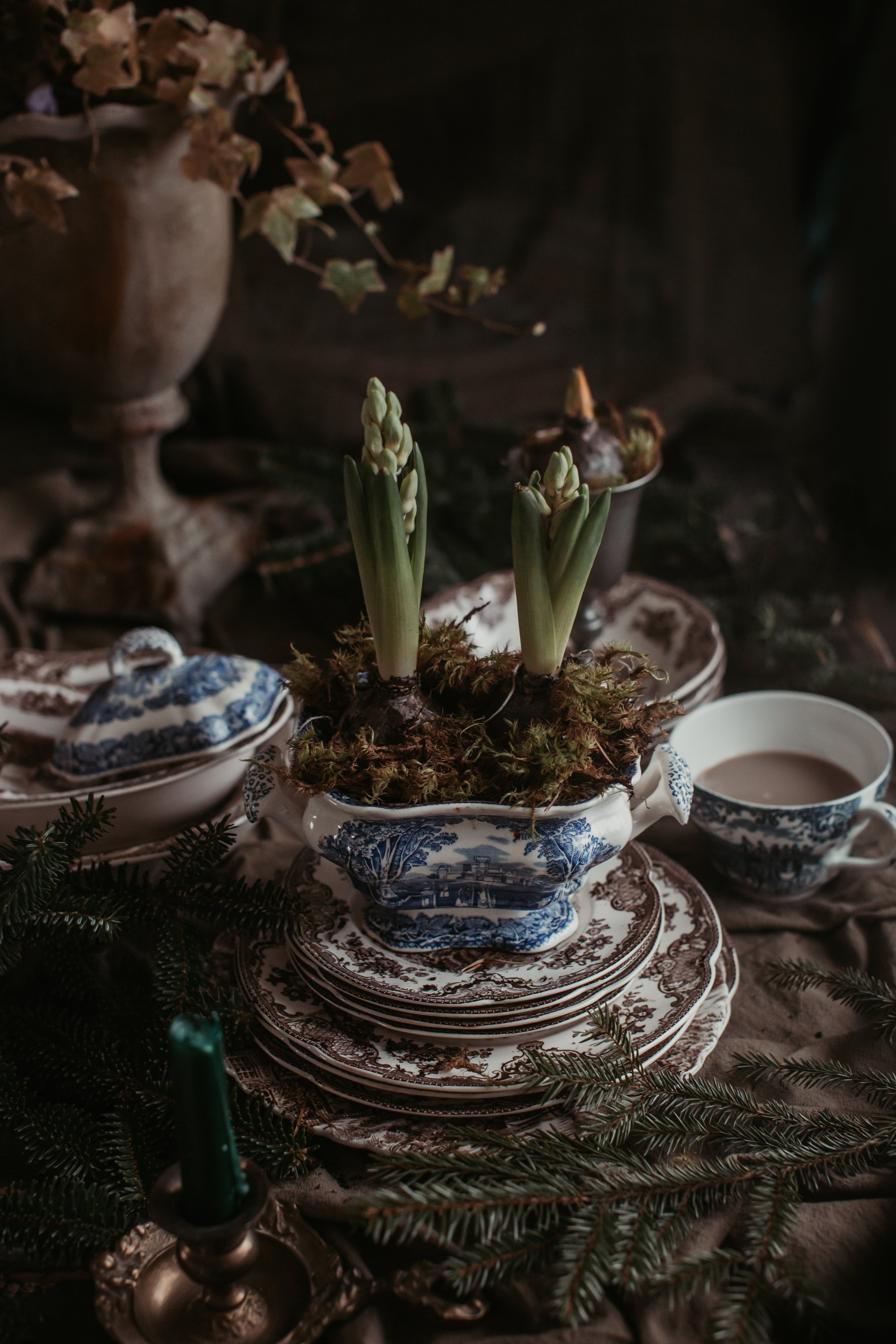 hyacinths