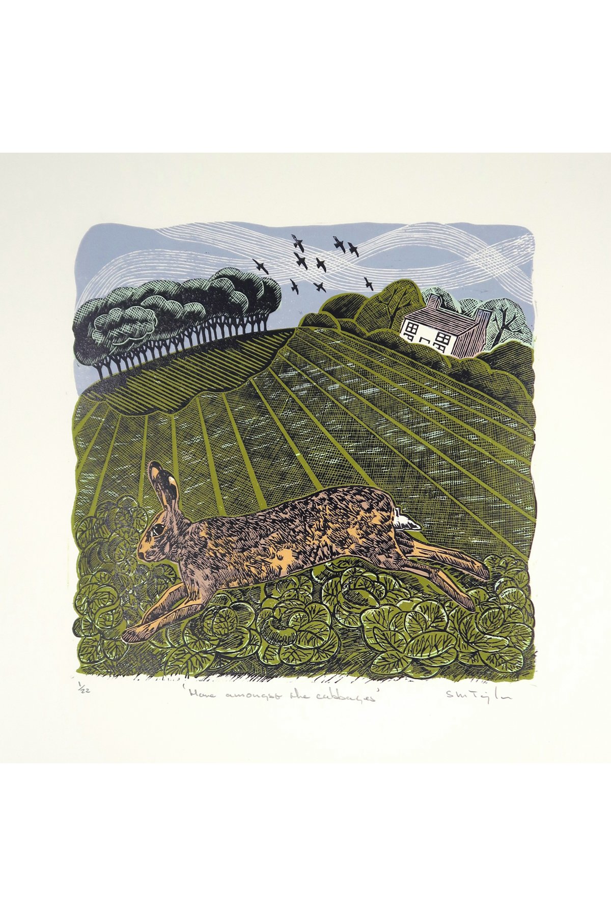 hare 3x2.jpg