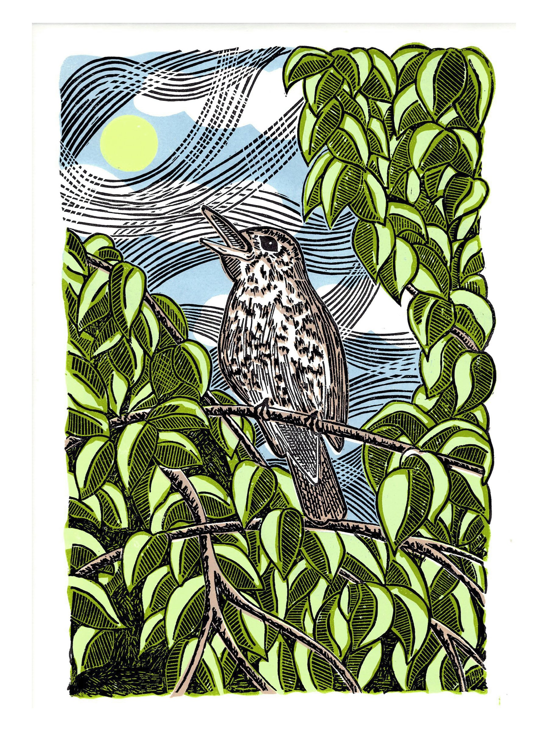 Song Thrush