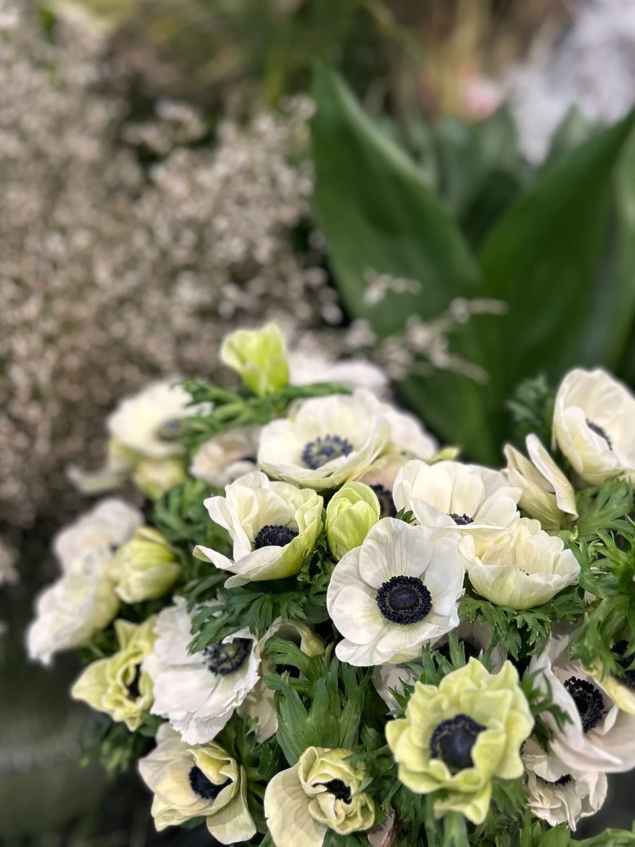 Nytt&aring;rsblomstene finner du hos oss 🌟