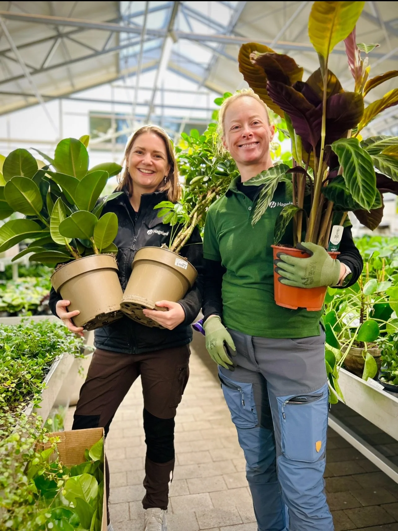 Velkommen til jungelen 💚 -40% p&aring; alle gr&oslash;nne inneplanter! #gr&oslash;nnplanter