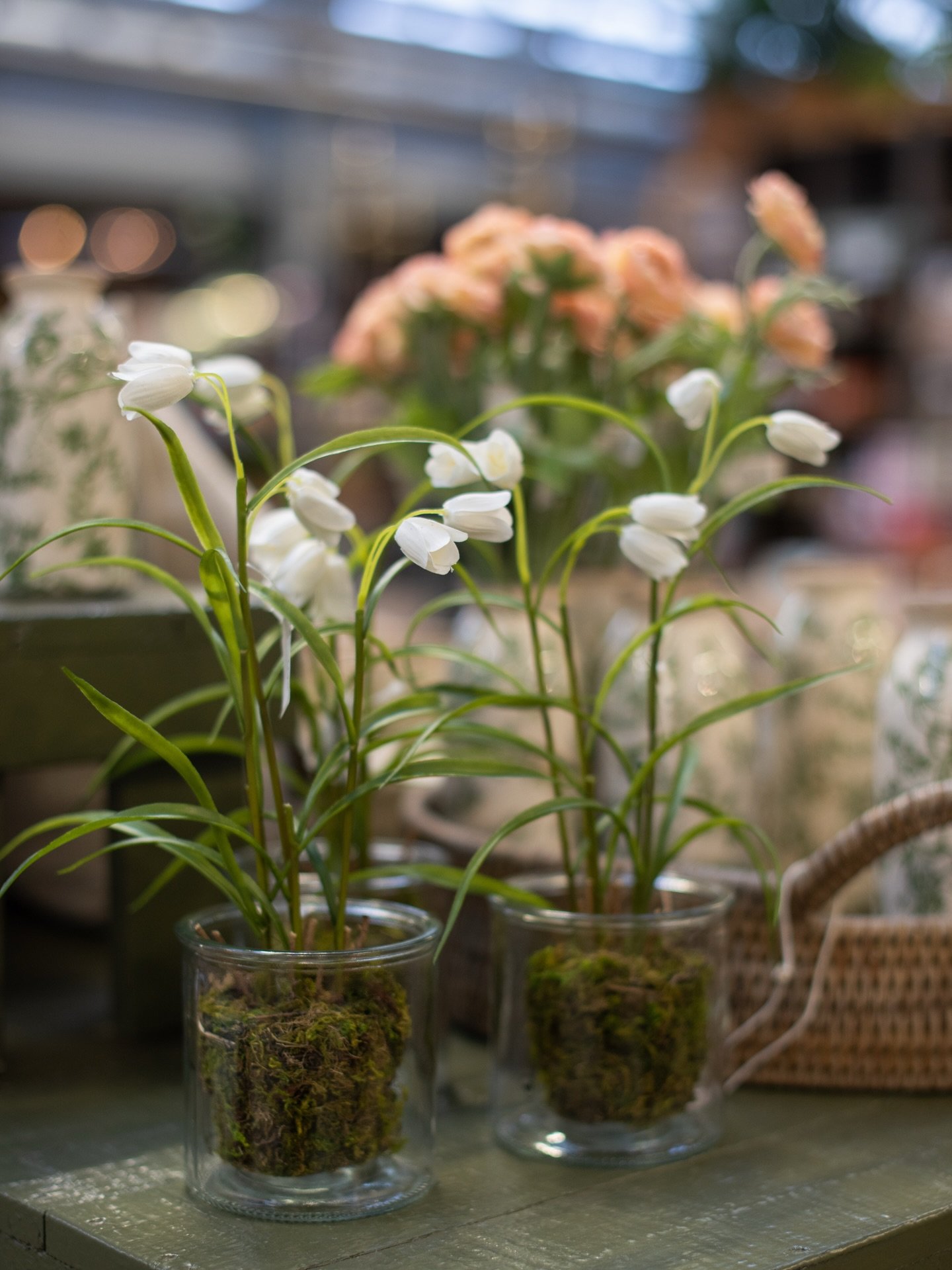 V&aring;rens nyheter finner veien ut i butikk 🌸