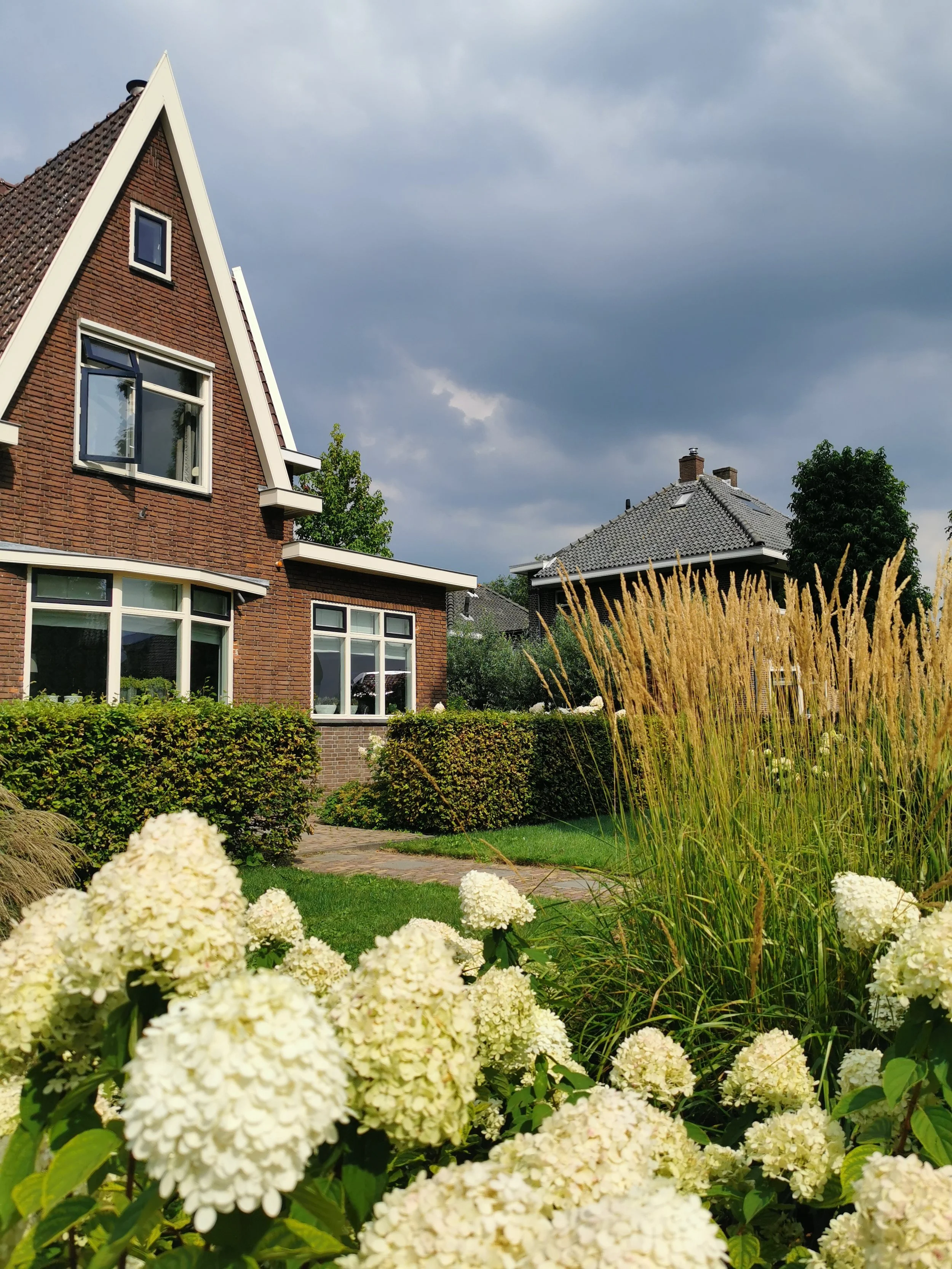 Hagerørkvein Karl Foerster (2).jpg