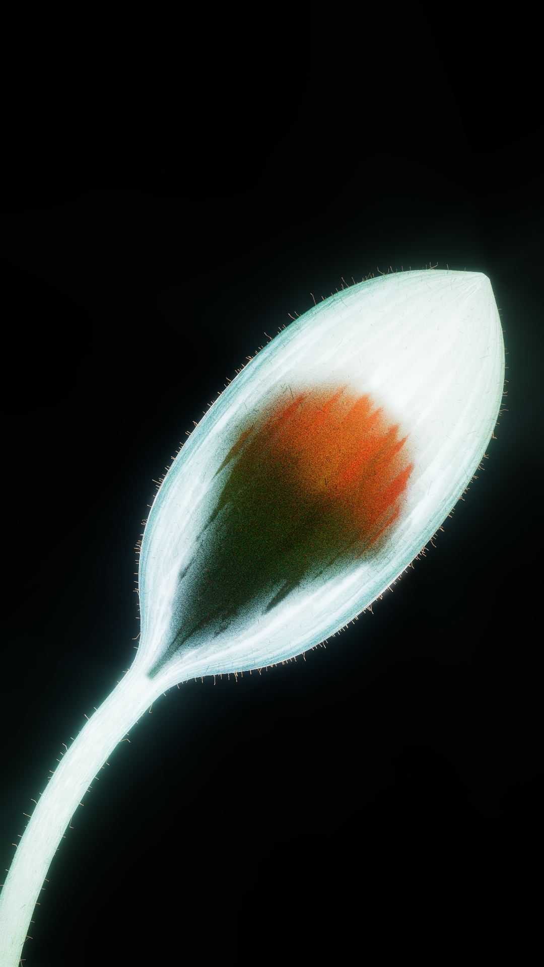1 (1).png
