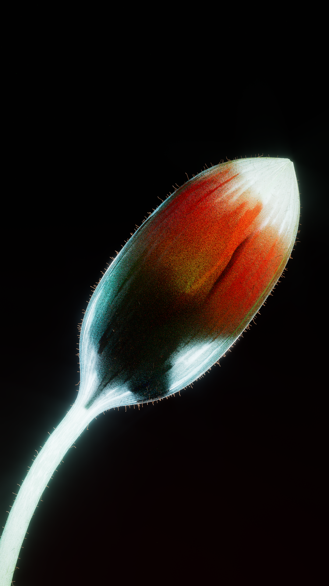 3 (1).png