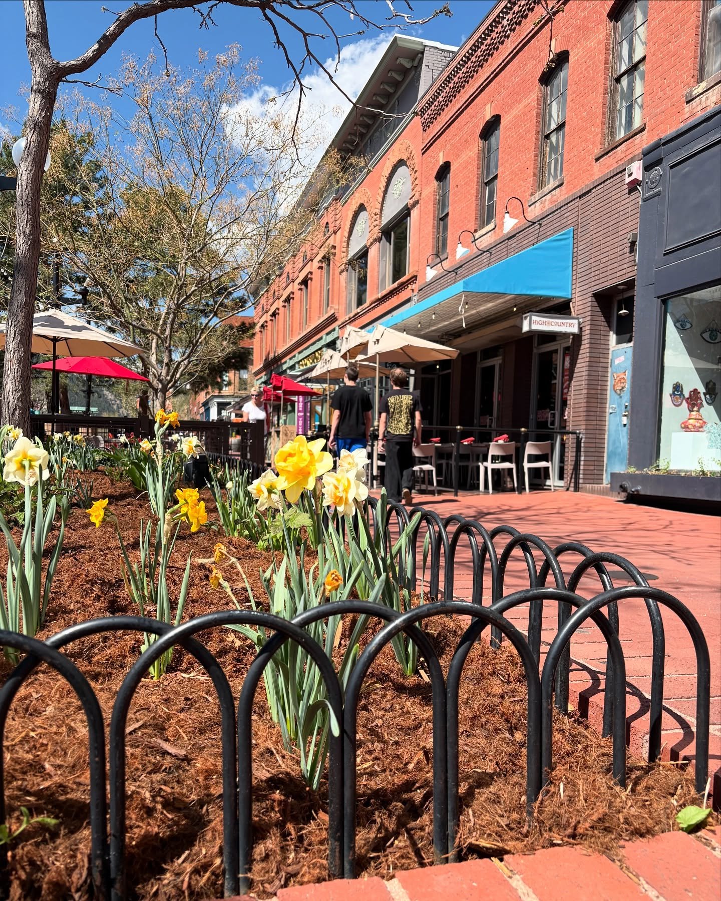 Come see the flowers and grab a bite to eat!