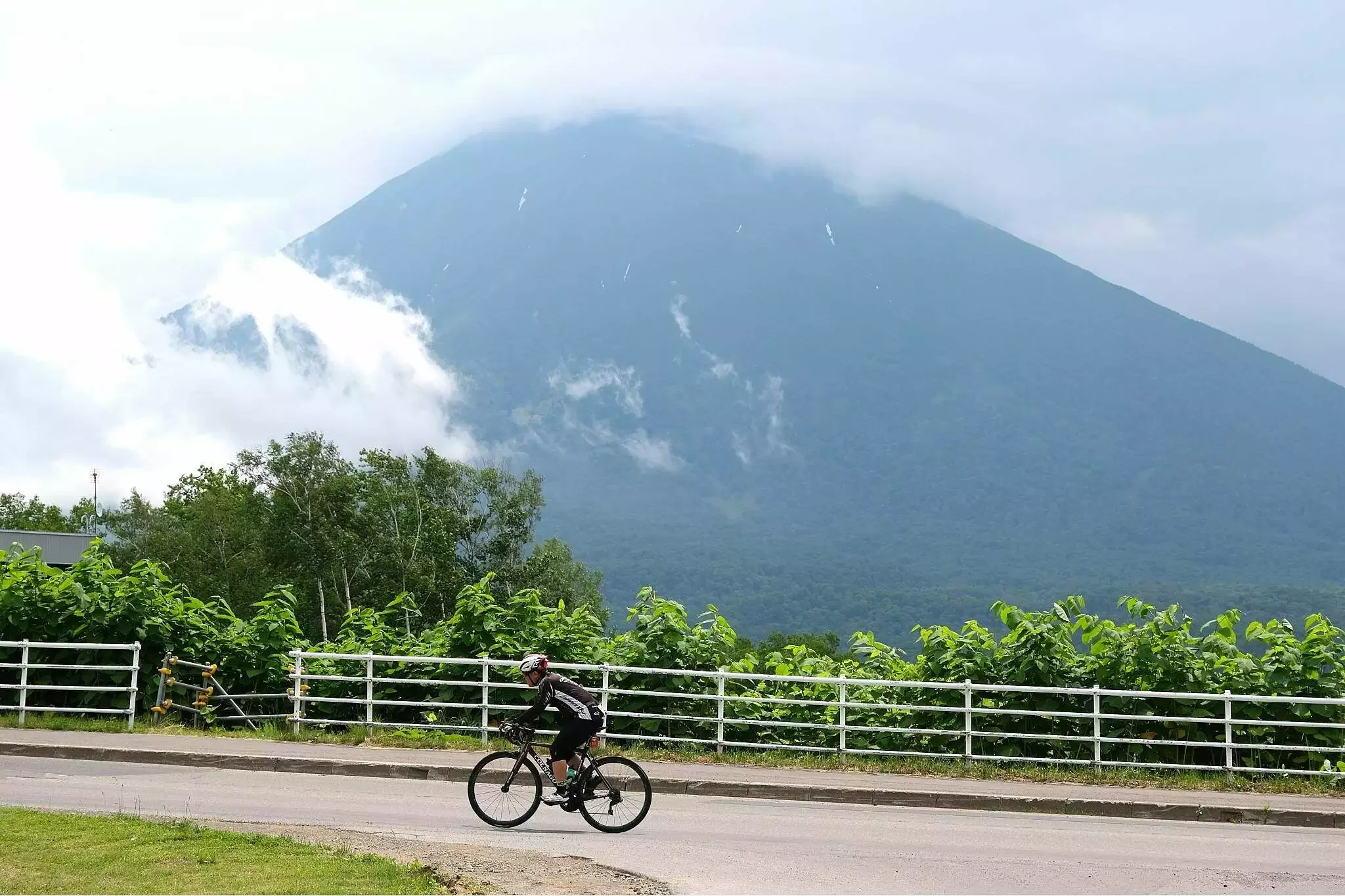 Cycling - Summer Activity - Niseko