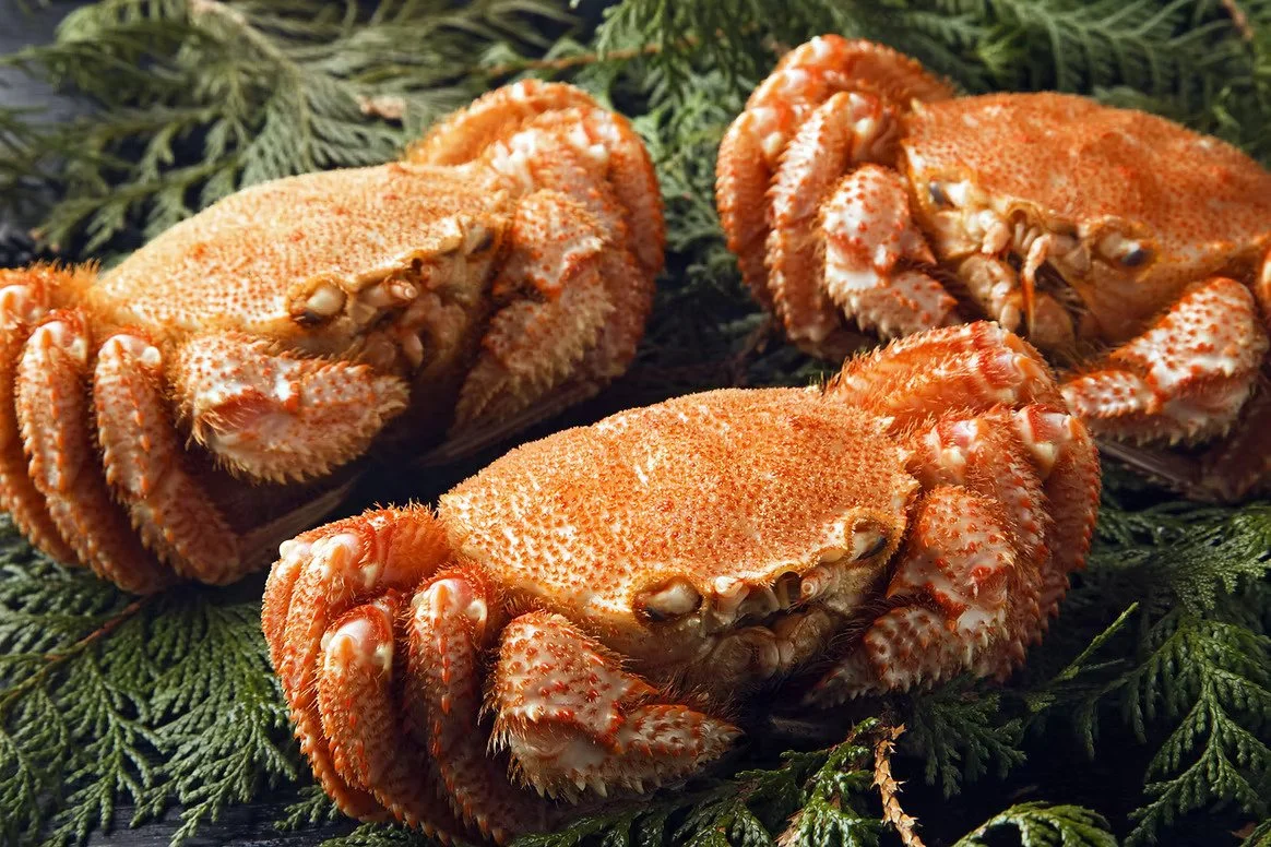 Seafood Restaurant - Crab Dining Kanon - Niseko