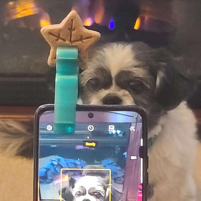 Phone Throne 3.jpeg