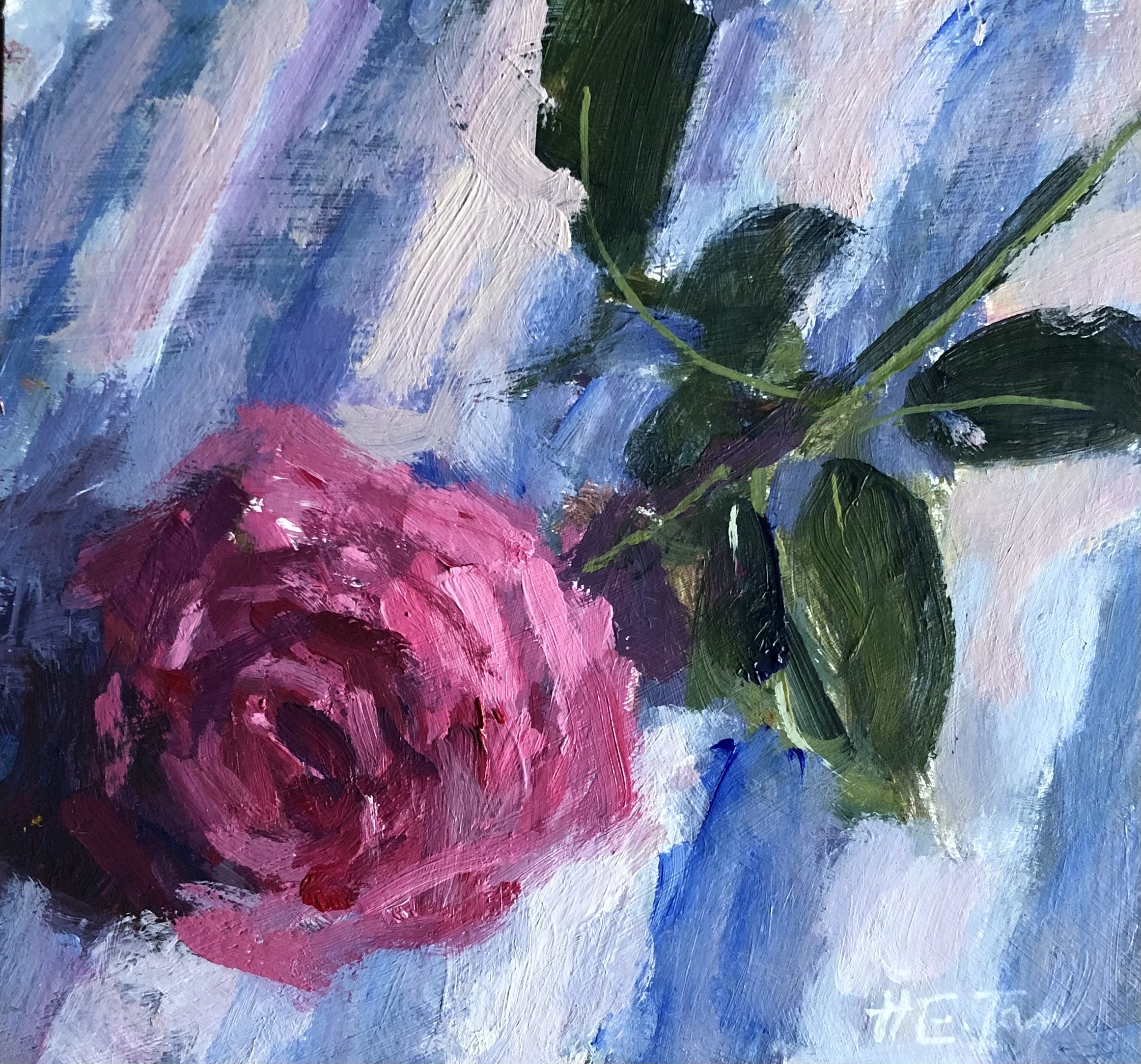 A Single Pink Rose